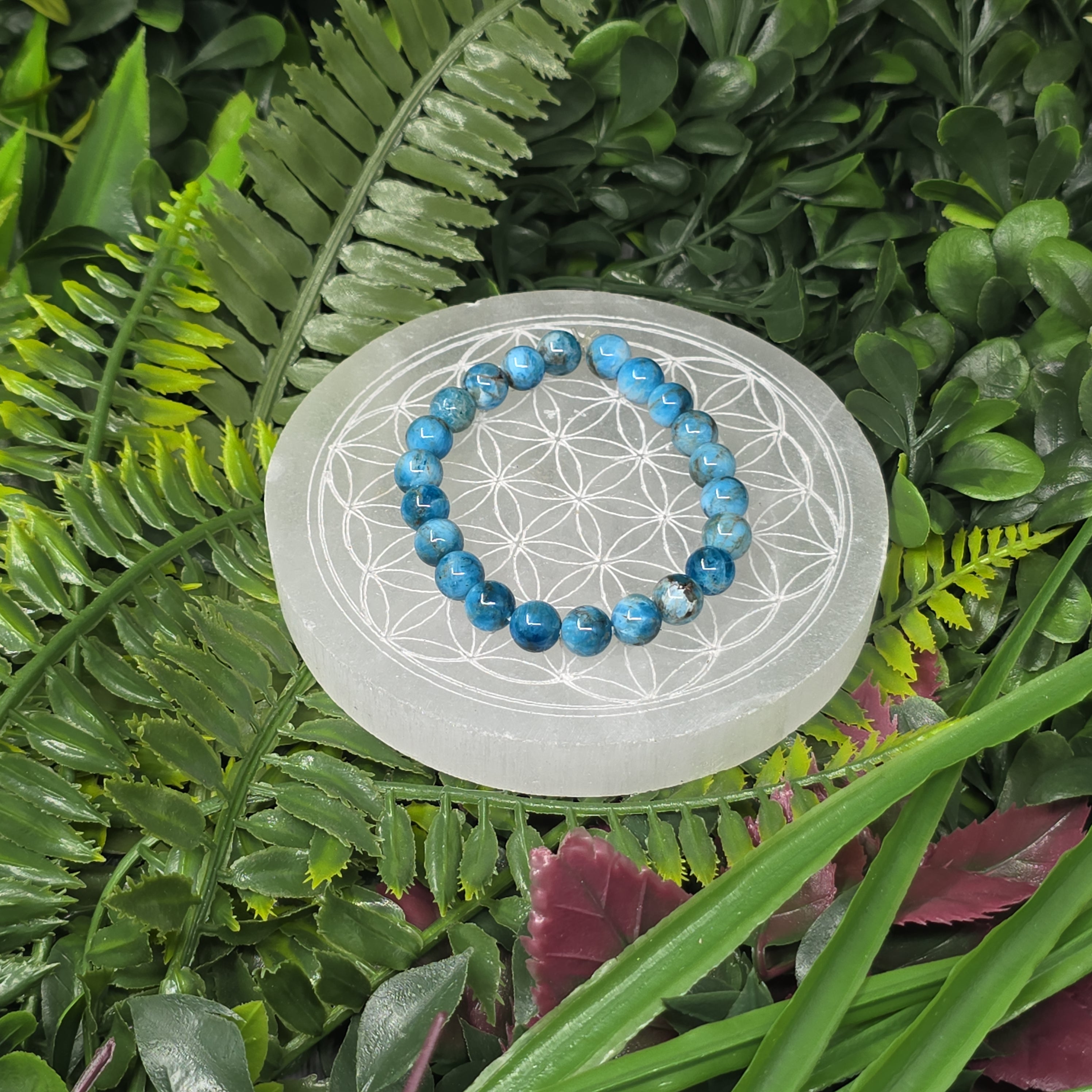 💙 Bracelet élastique Apatite 8 mm – clarté & énergie positive