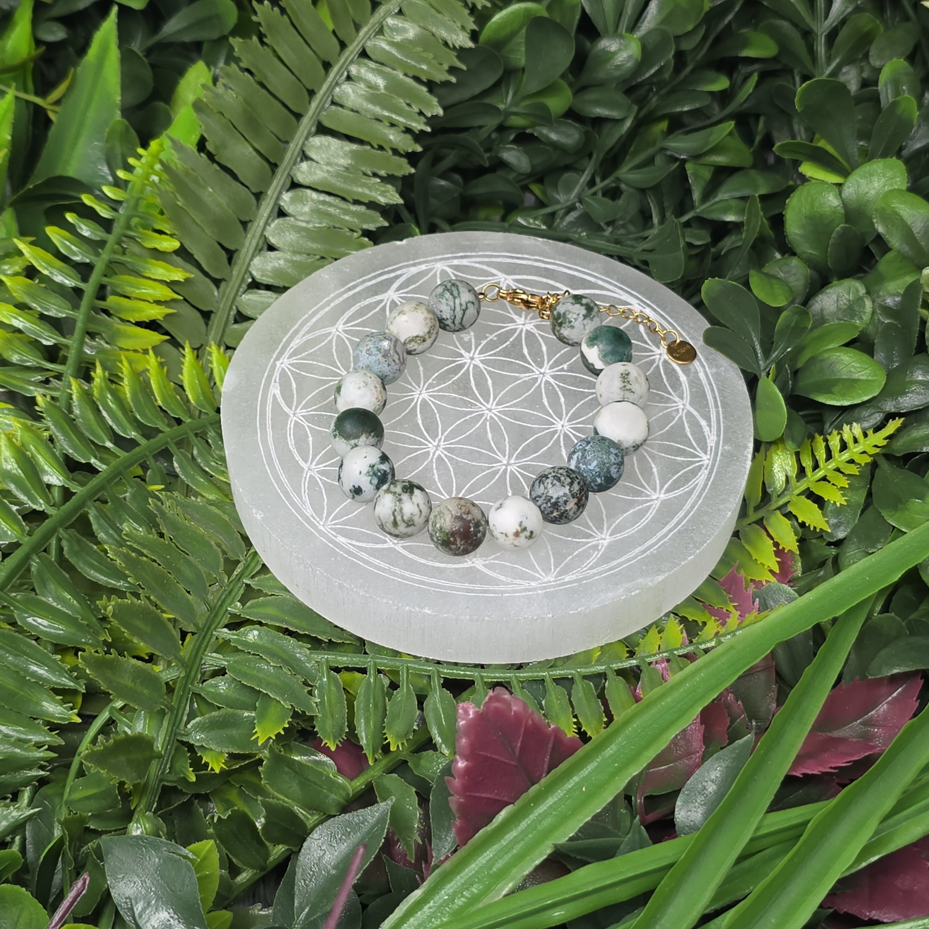 🌿 Bracelet ajustable Agate Arbre 10 mm mat – sérénité & équilibre