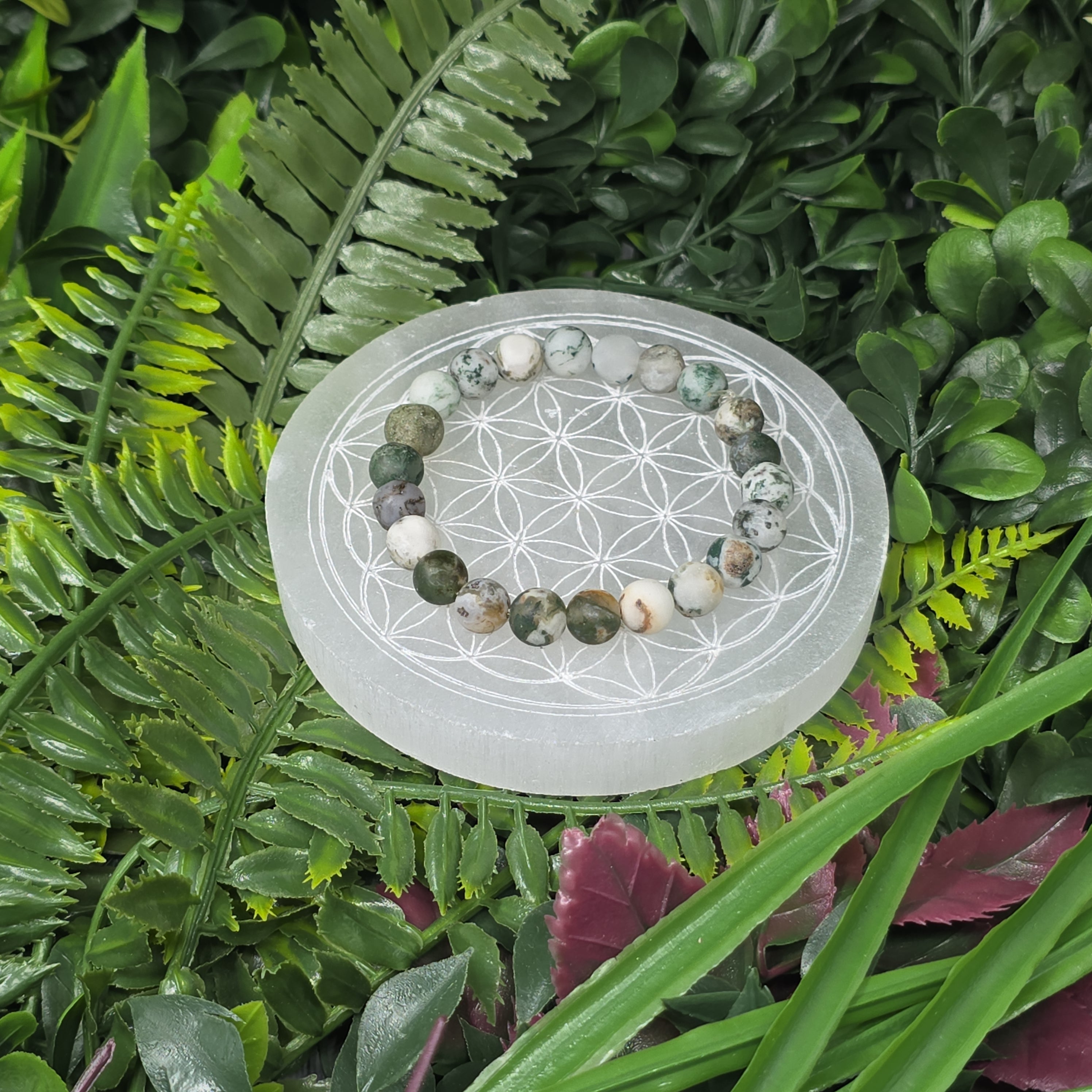 🌿 Bracelet élastique Agate Arbre 8 mm mat – ancrage & sérénité