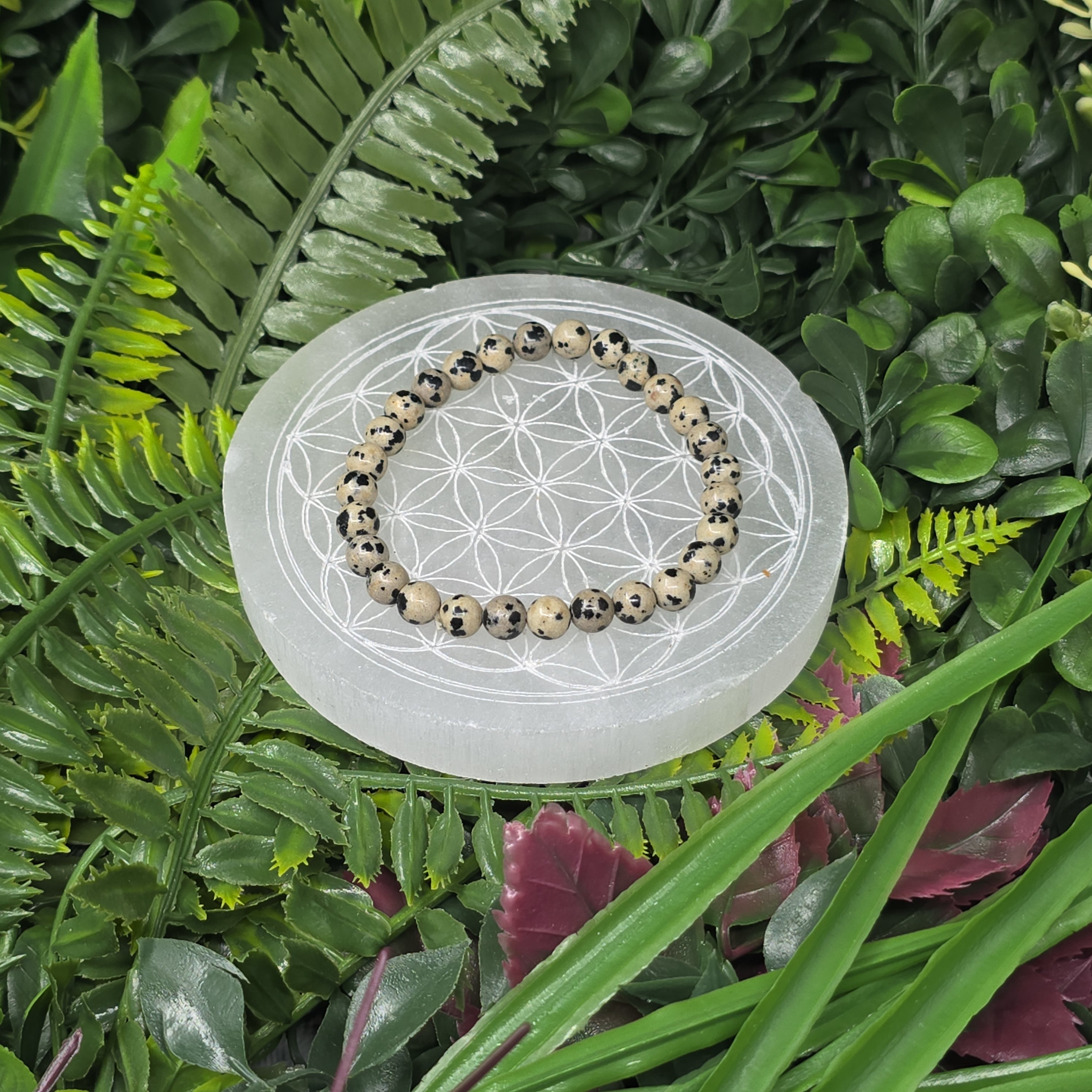 🐾 Bracelet élastique Jaspe Dalmatien 6 mm – joie & protection