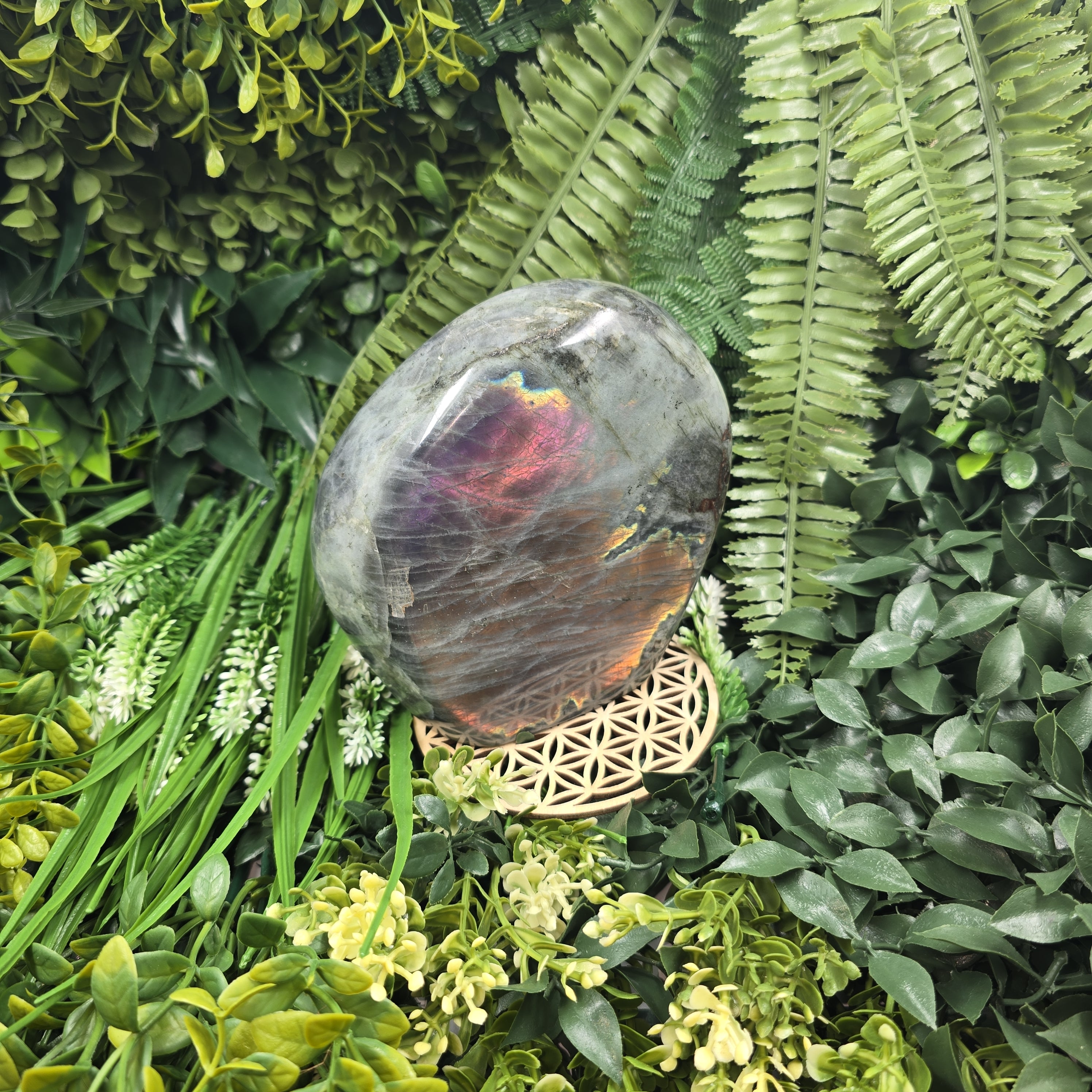 💫 Labradorite “Flamme Astrale” – Reflet du Mystère