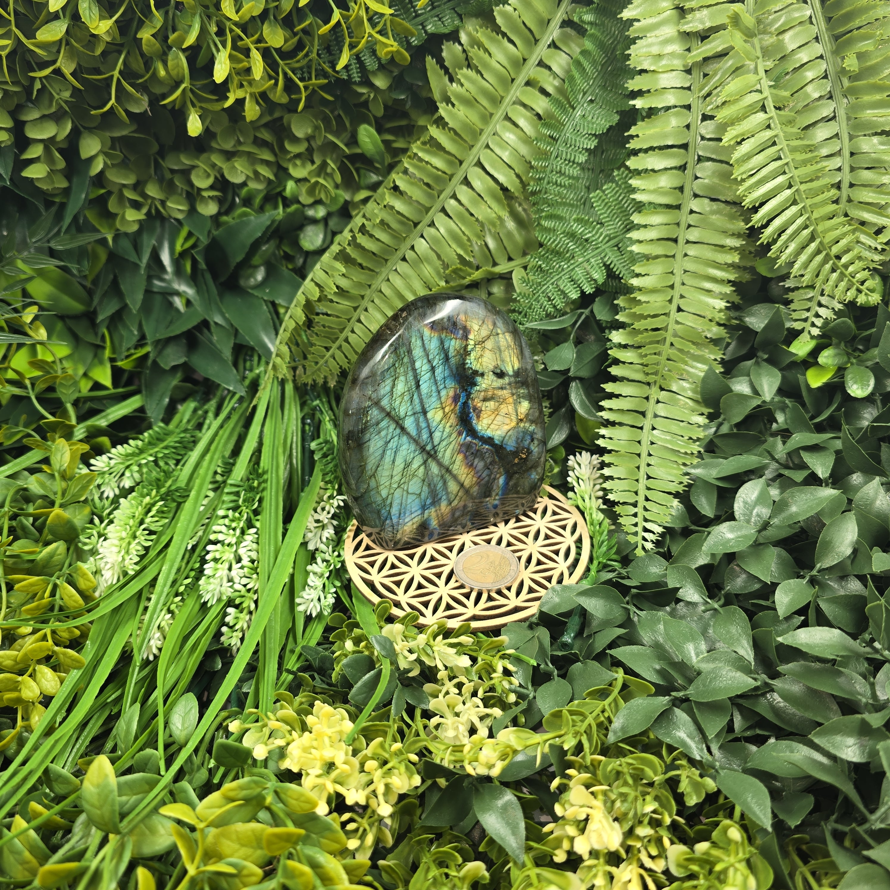 💫 Labradorite “Aurore Boréale” – Gardienne des Reflets