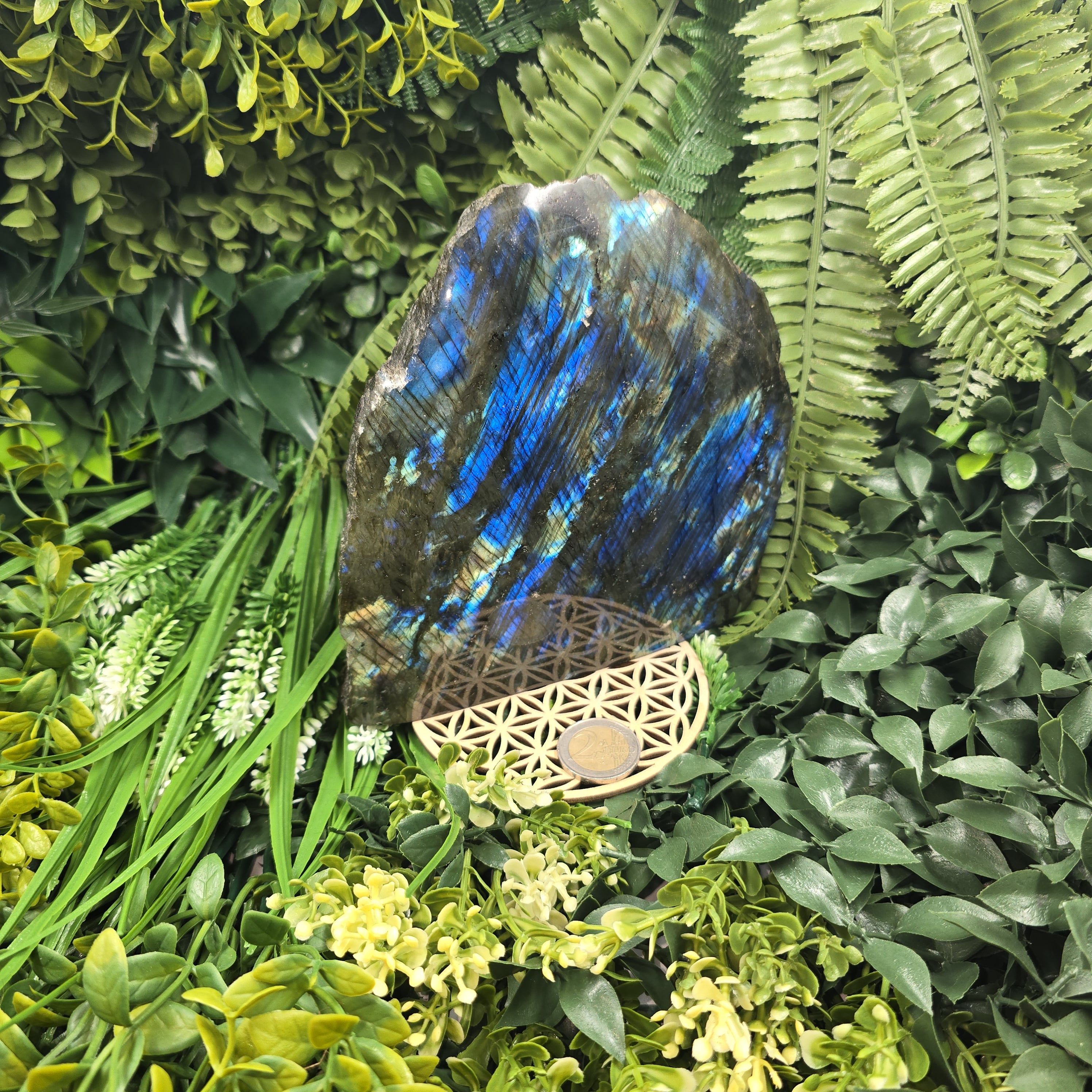 🌌💫 Labradorite “Ailes du Cosmos” – Gardienne de Lumière