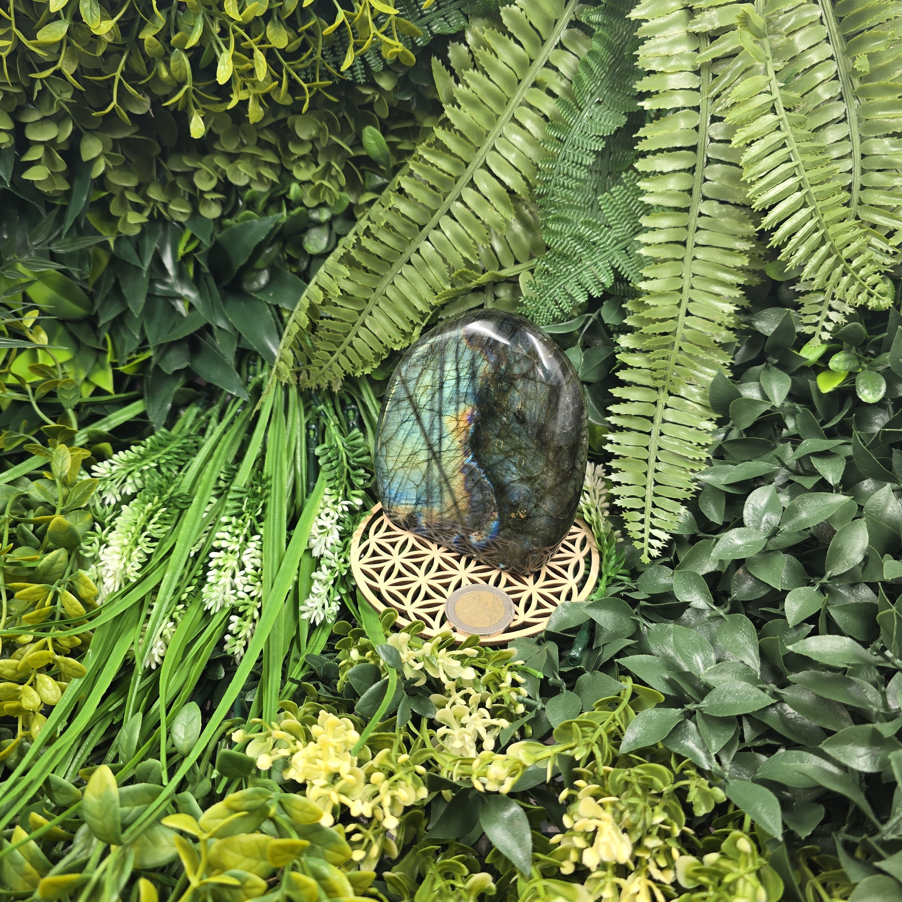 💫 Labradorite “Aurore Boréale” – Gardienne des Reflets