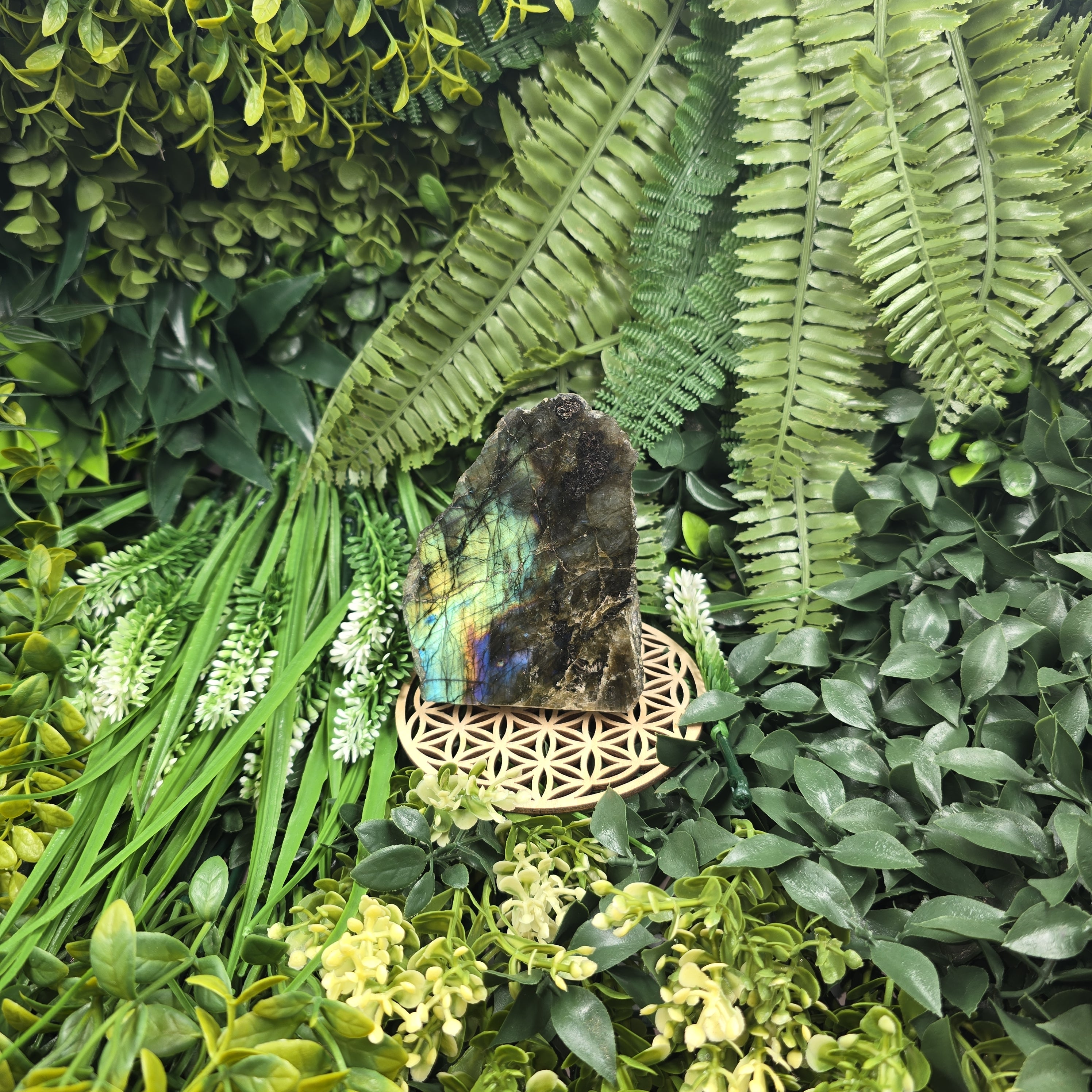 💫 Labradorite “Arcane du Ciel” – Reflets d’Aurore