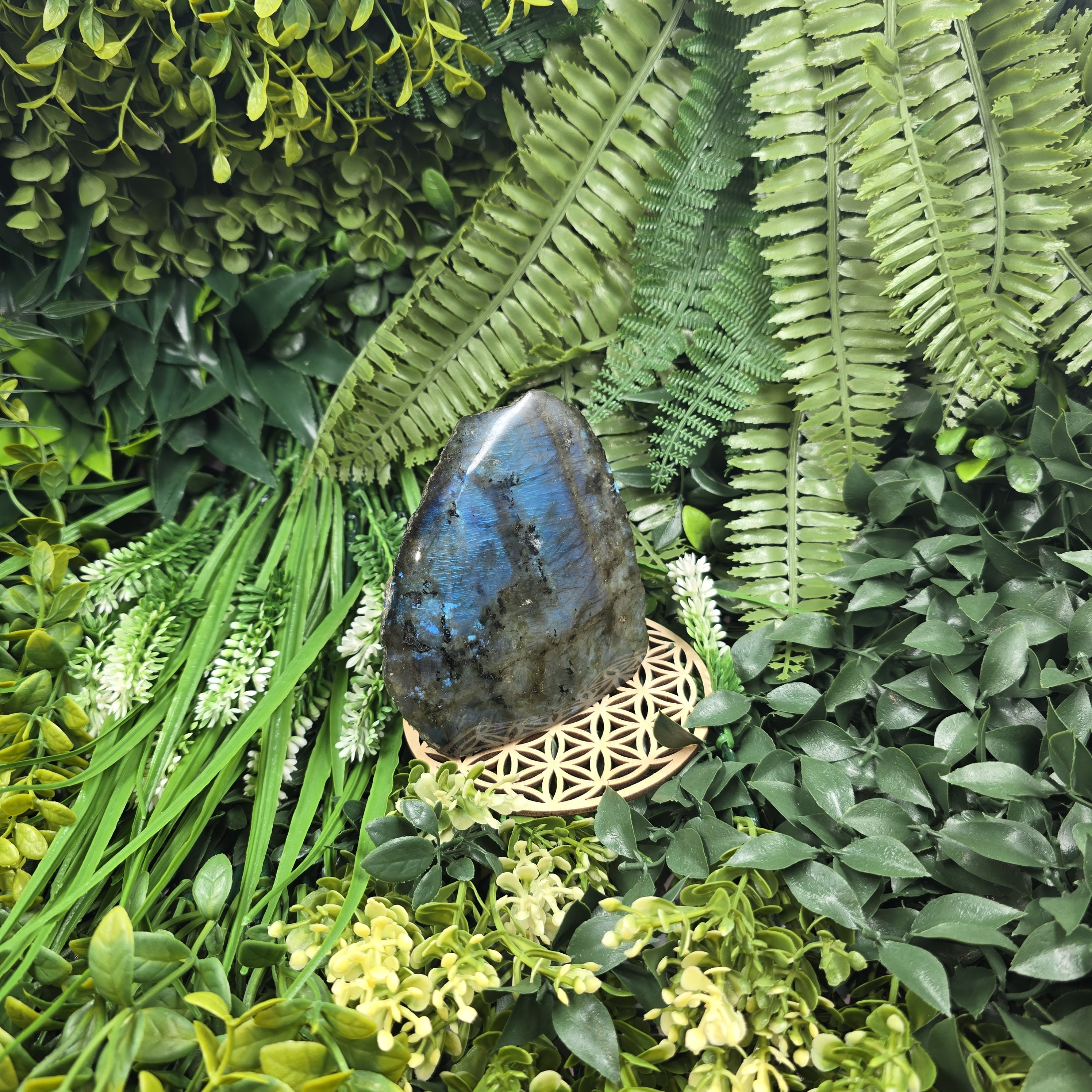 💫 Labradorite “Voile des Profondeurs” – Sérénité & Protection