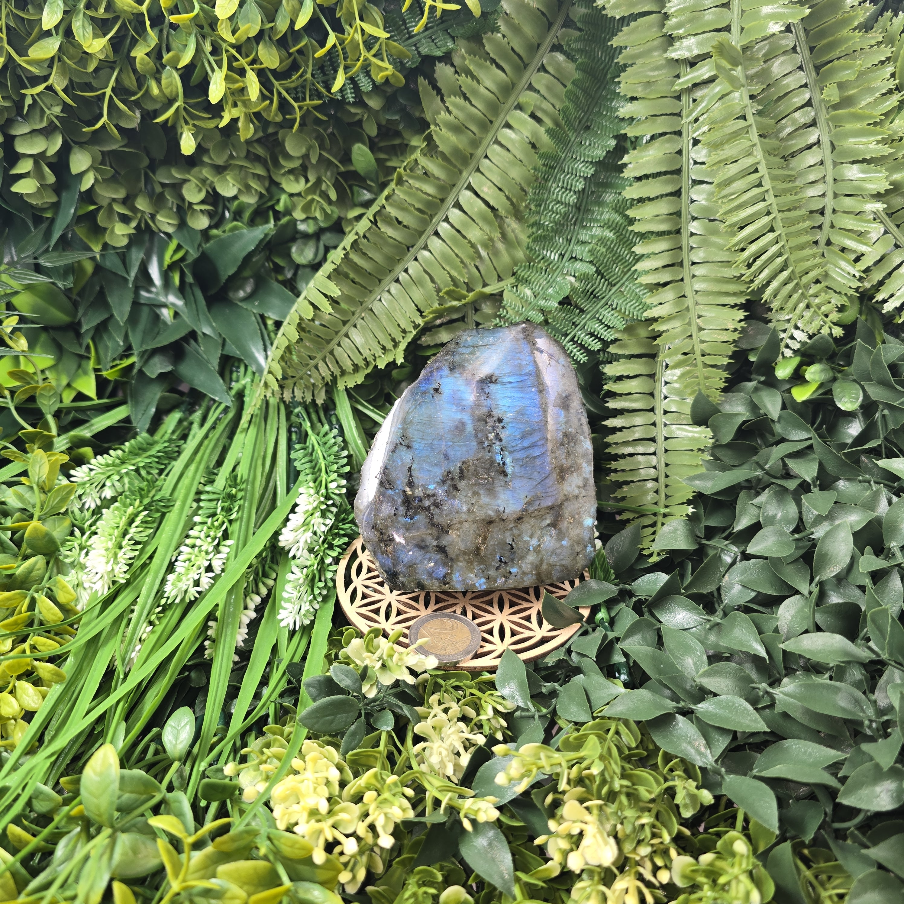 💫 Labradorite “Voile des Profondeurs” – Sérénité & Protection