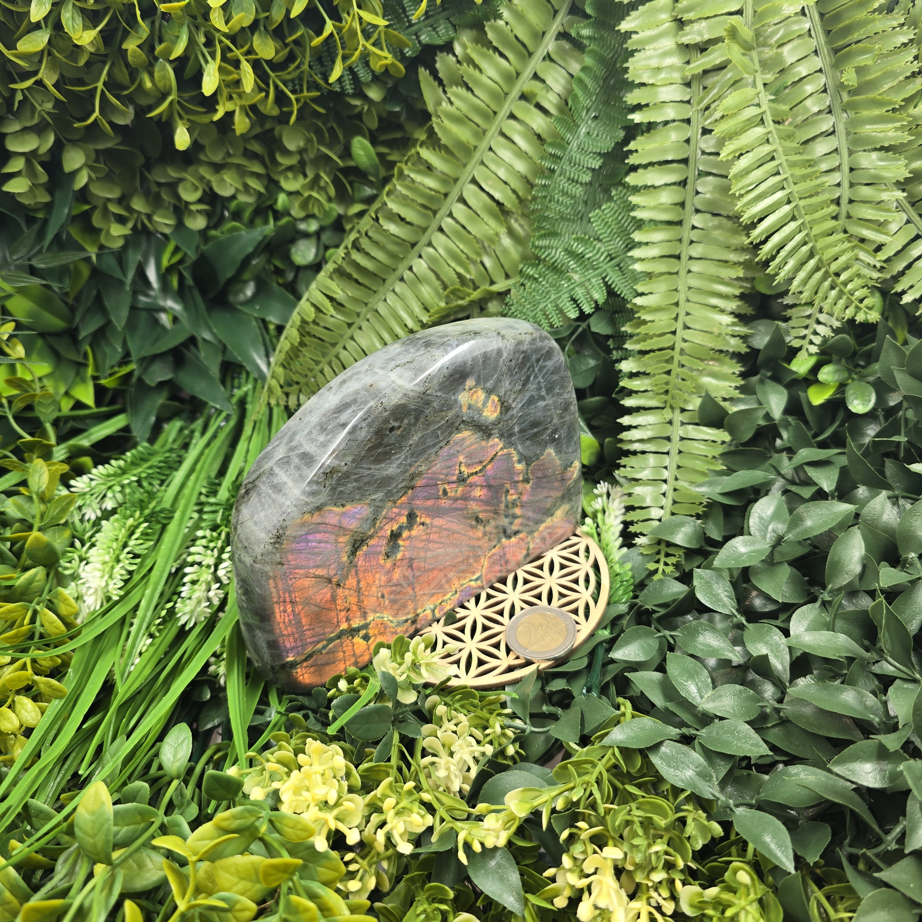 💙 Labradorite Flash violet rare ✨ : la pierre qui magnifie ta vision & éclaire tes reflets mystiques ✨🔮