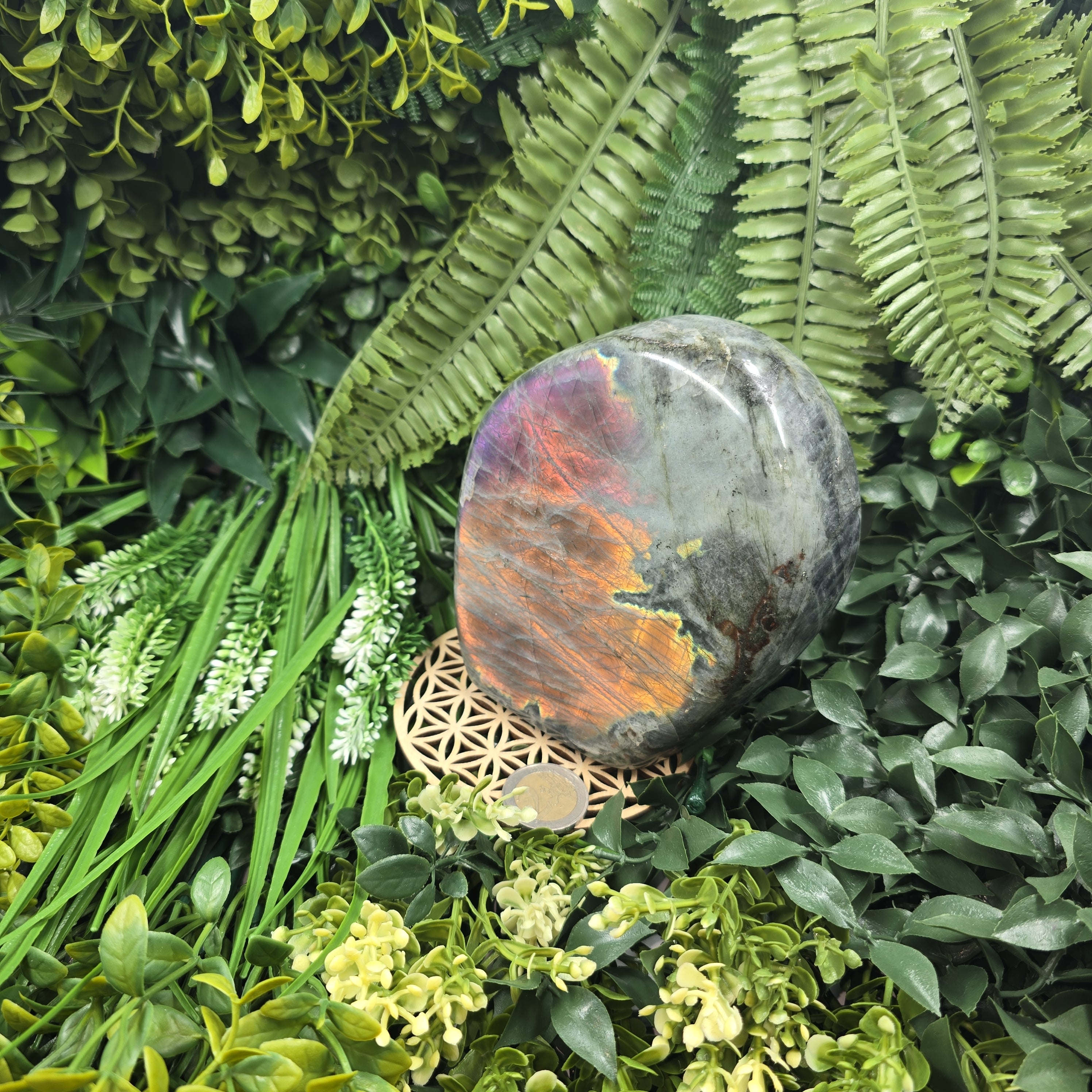 💫 Labradorite “Flamme Astrale” – Reflet du Mystère