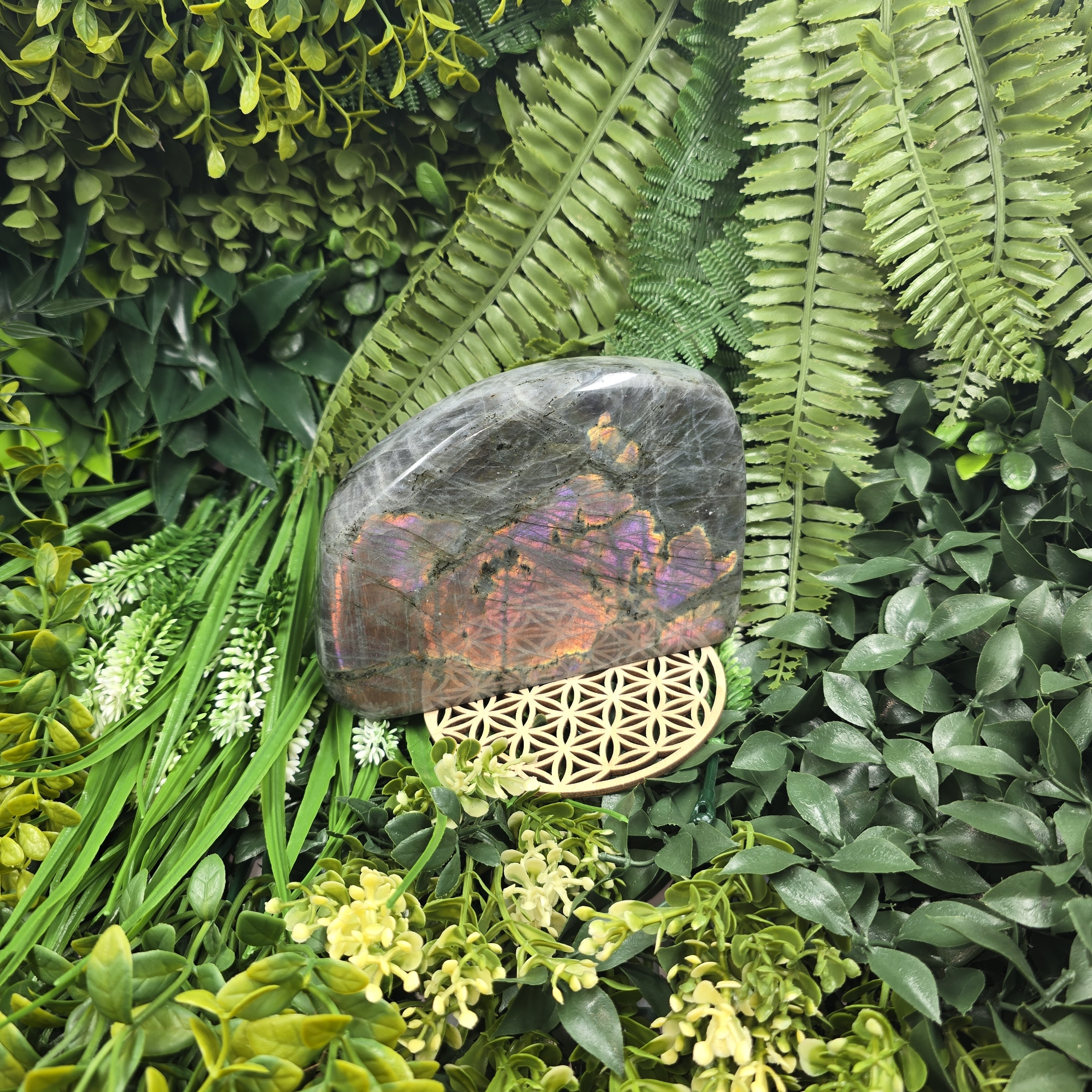 💙 Labradorite Flash violet rare ✨ : la pierre qui magnifie ta vision & éclaire tes reflets mystiques ✨🔮