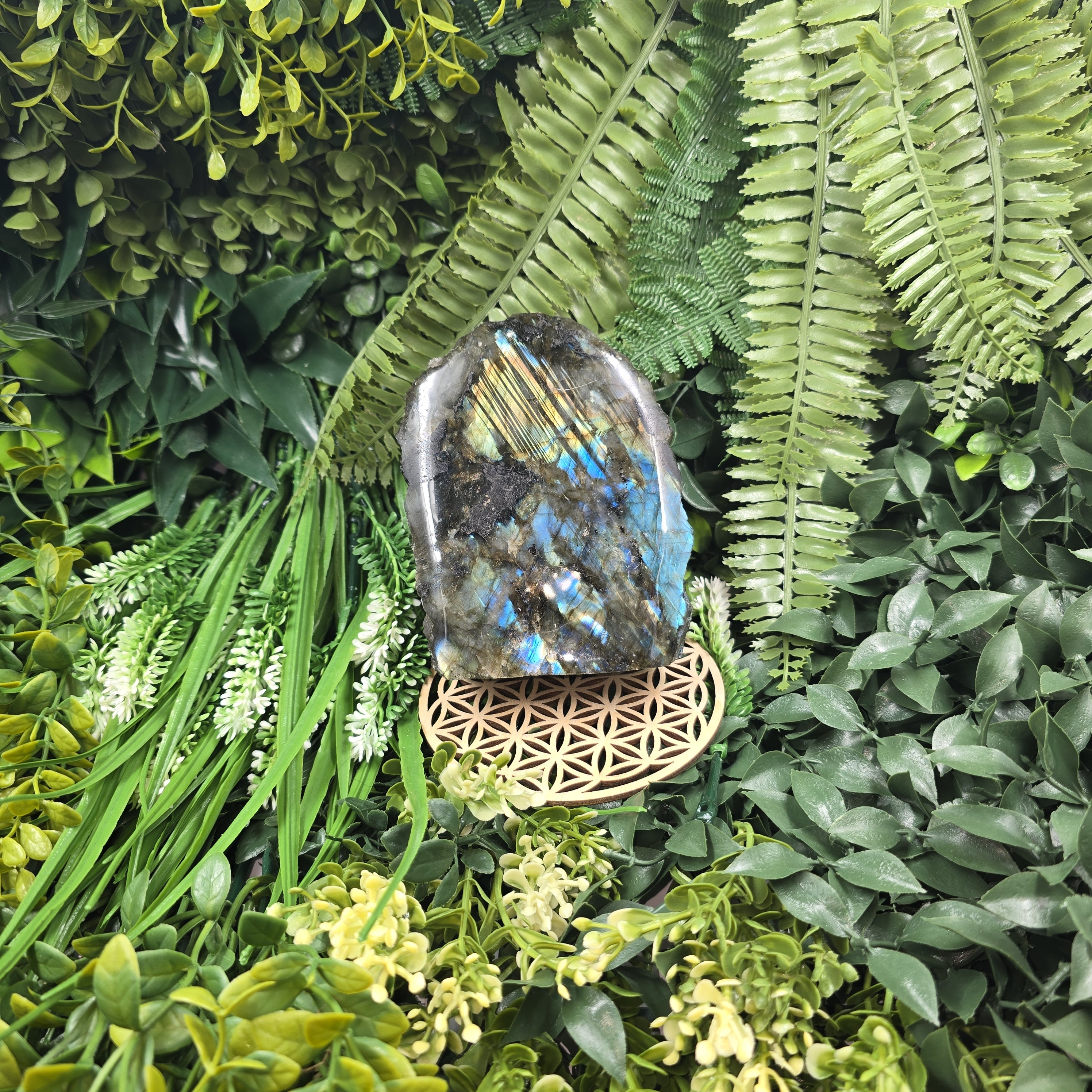 💫 Labradorite “Ailes de Gaïa” – Lumière Protectrice