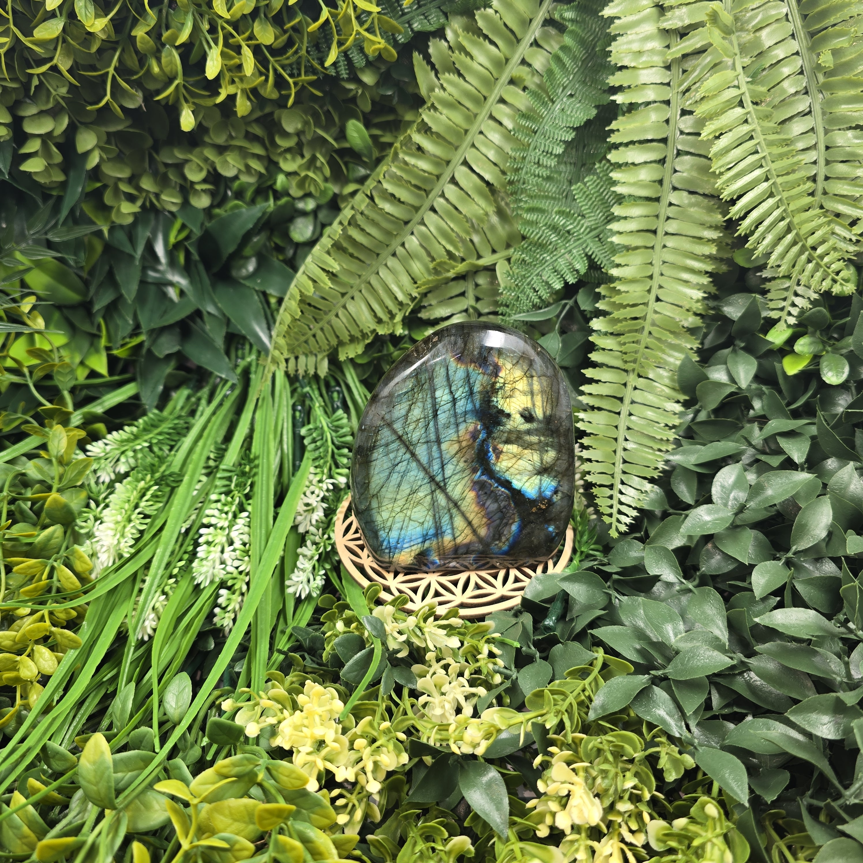 💫 Labradorite “Aurore Boréale” – Gardienne des Reflets