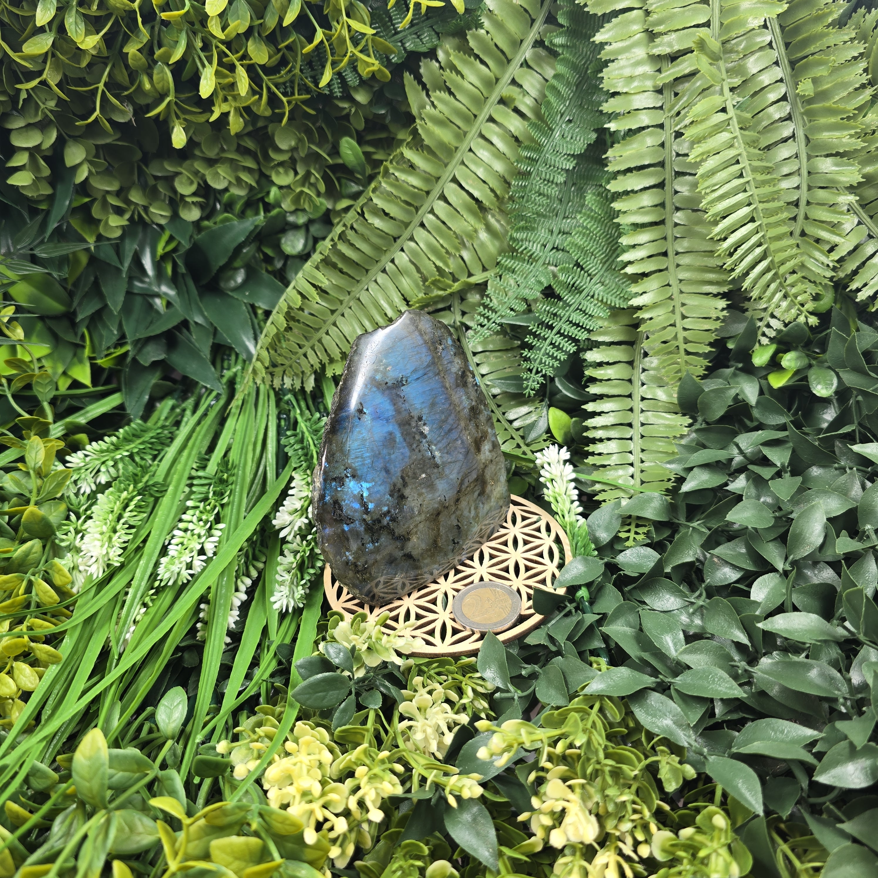 💫 Labradorite “Voile des Profondeurs” – Sérénité & Protection