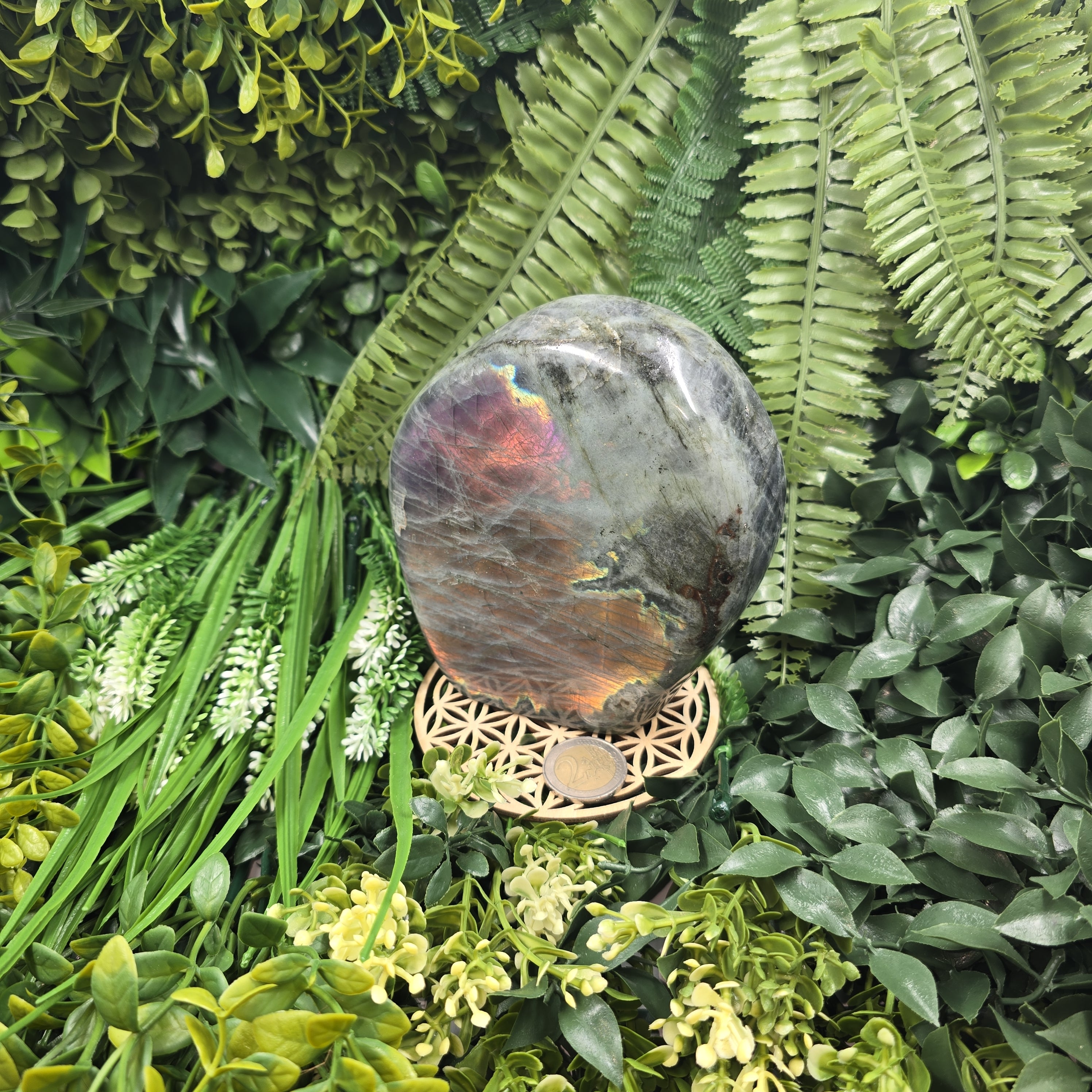 💫 Labradorite “Flamme Astrale” – Reflet du Mystère