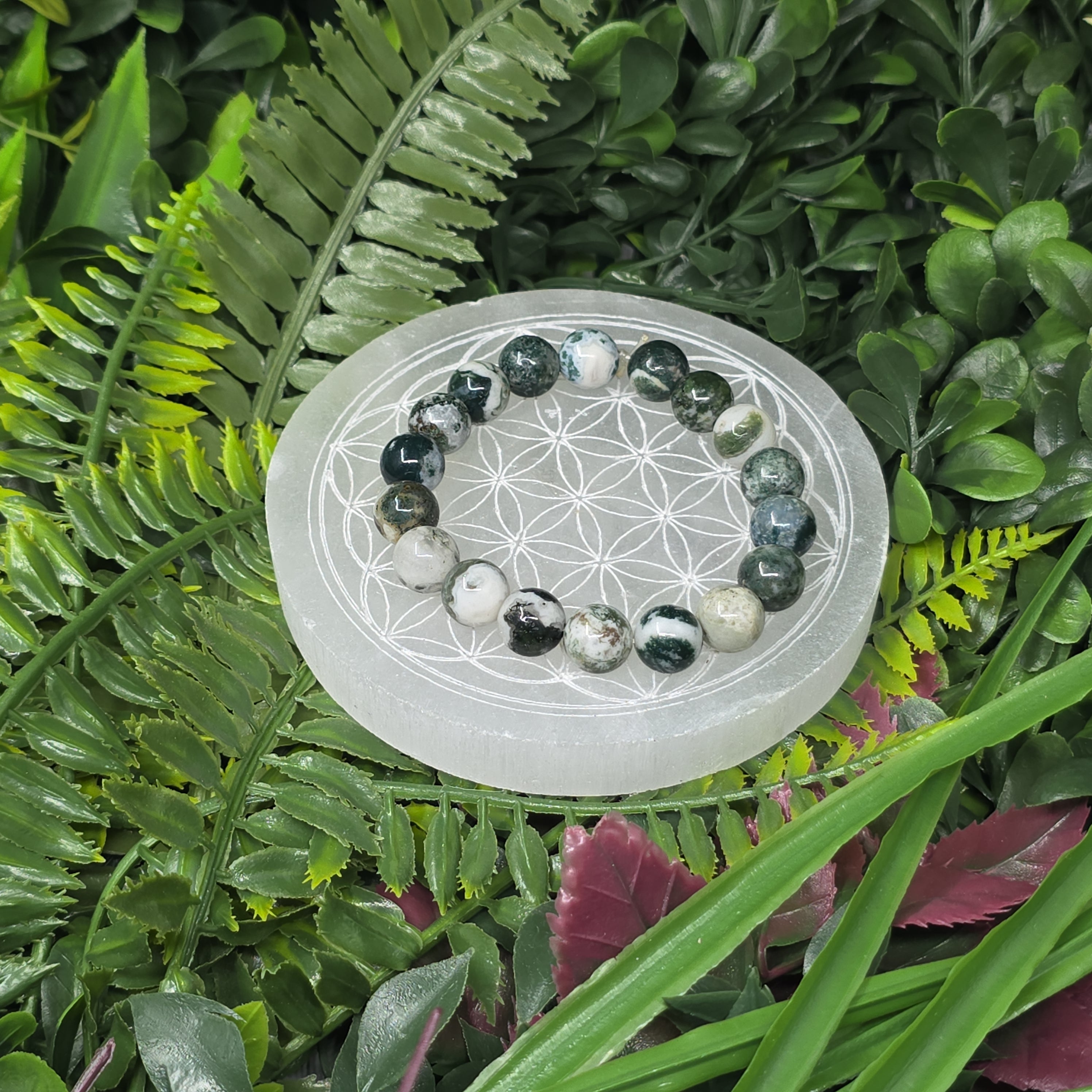 🌿 Bracelet élastique Agate Arbre 8 mm – ancrage & sérénité