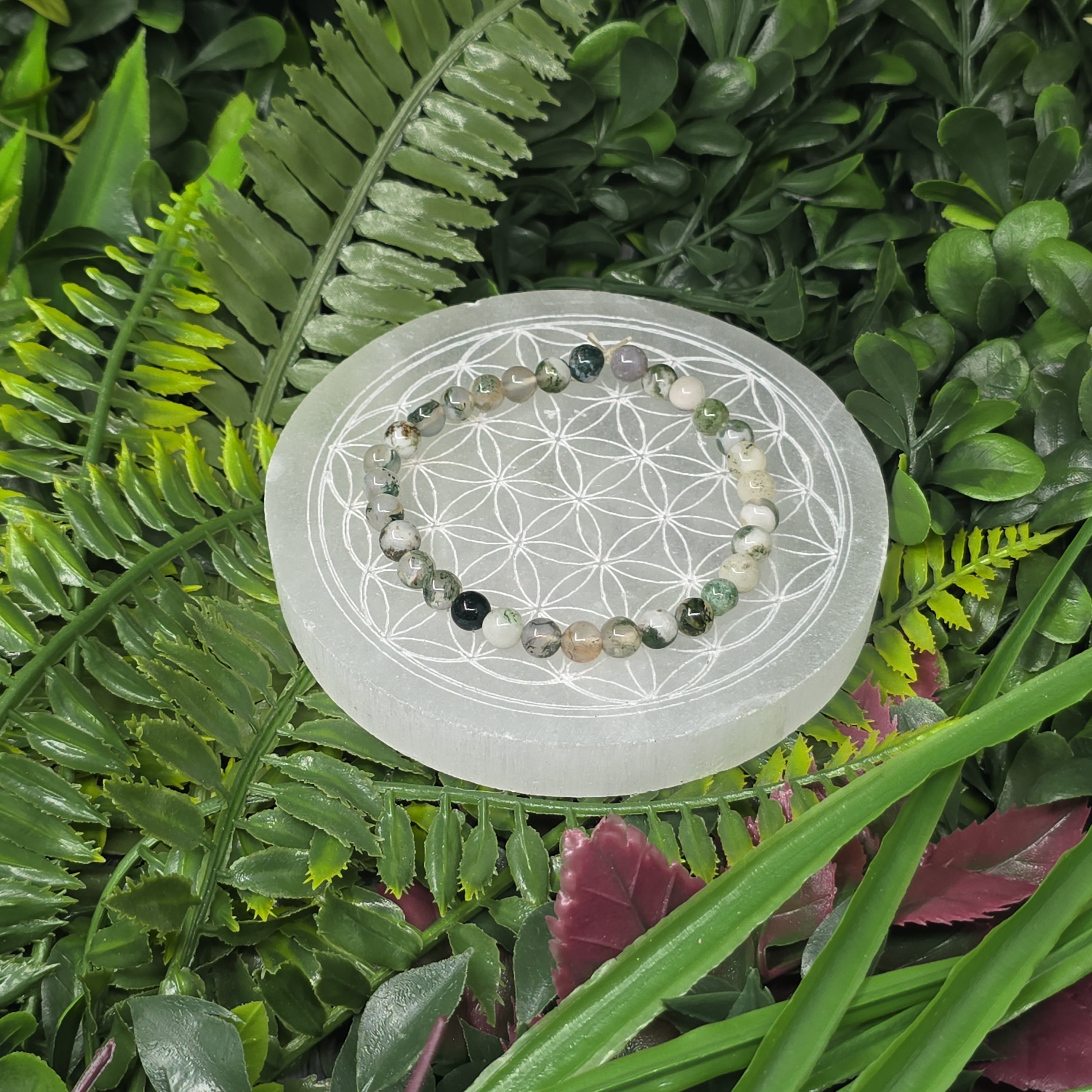 🌿 Bracelet élastique Agate Arbre 6 mm – ancrage & sérénité