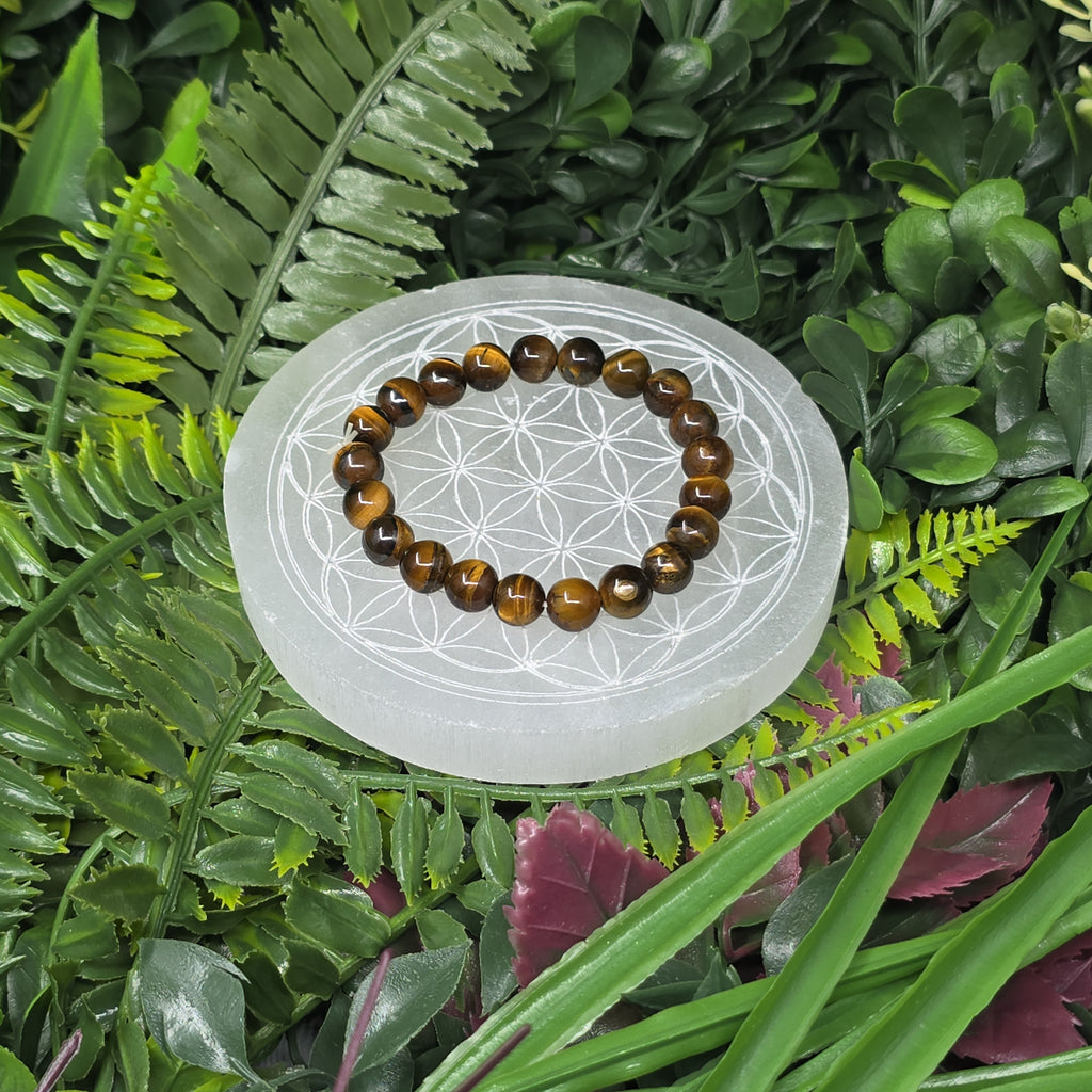 🐯 Bracelet élastique Œil de Tigre 8 mm – confiance & protection