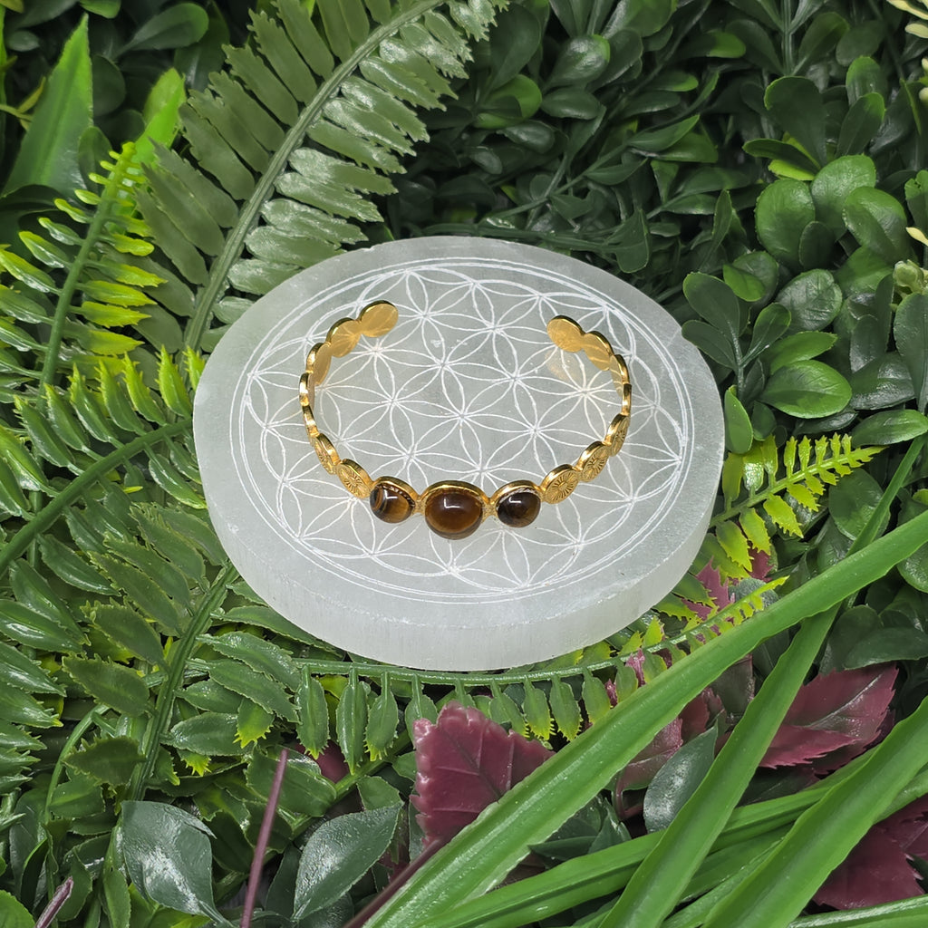 🐅 Bracelet Jonc Œil de Tigre ✨ Protecteur félin & power assuré 💪