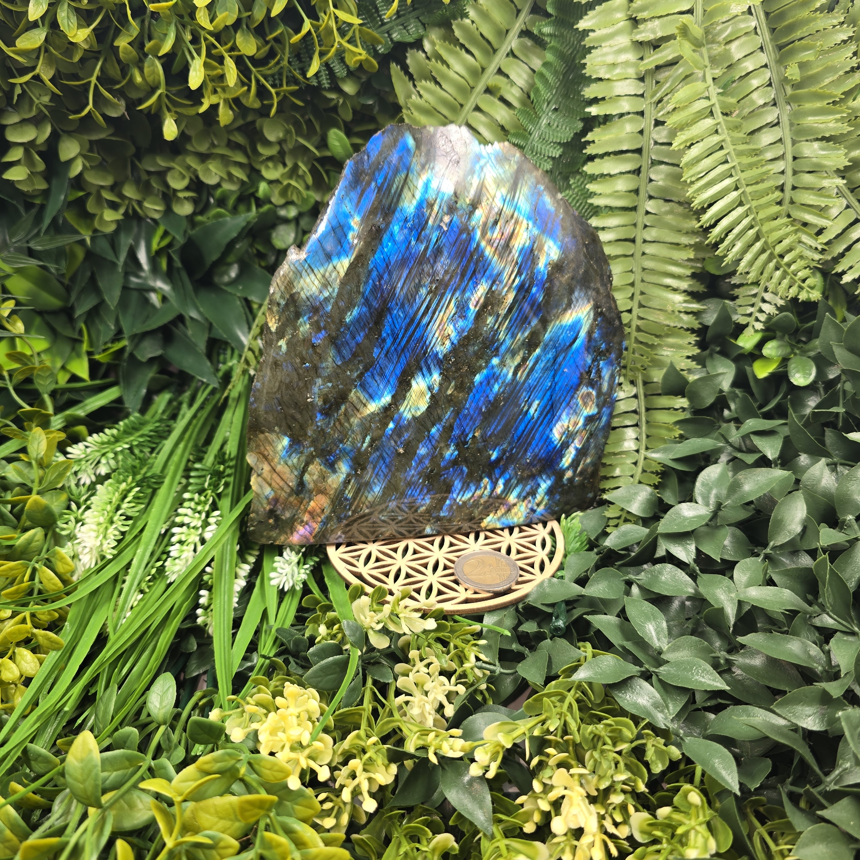 🌌💫 Labradorite “Ailes du Cosmos” – Gardienne de Lumière