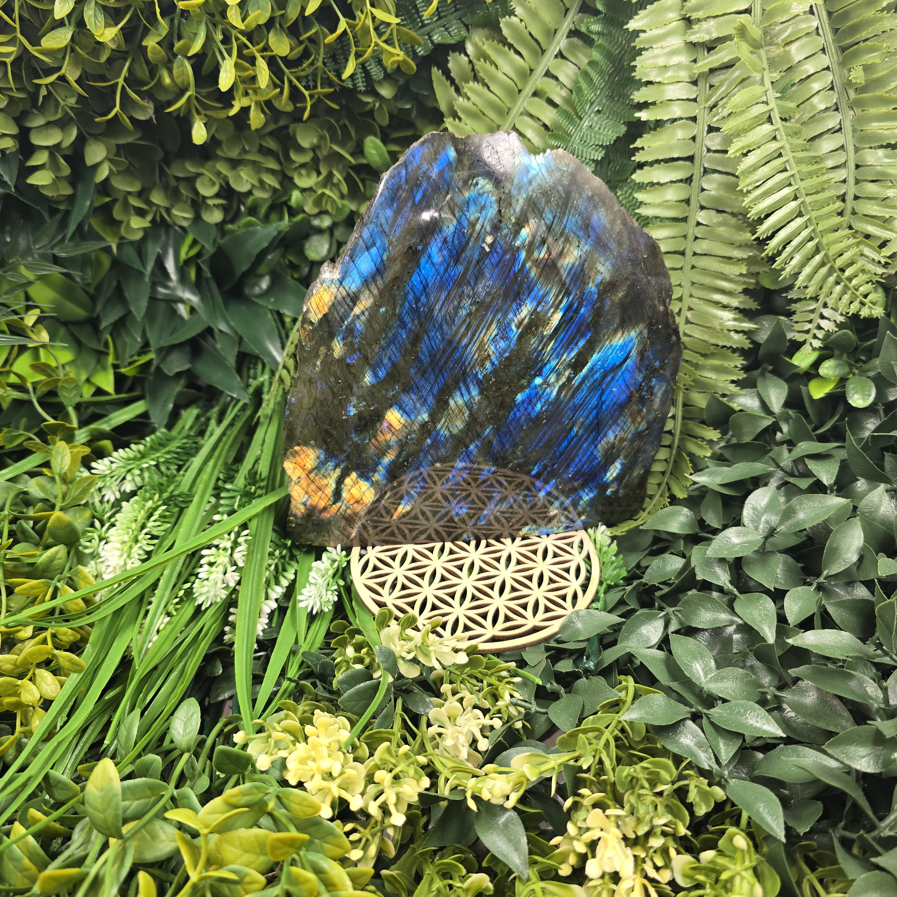 🌌💫 Labradorite “Ailes du Cosmos” – Gardienne de Lumière