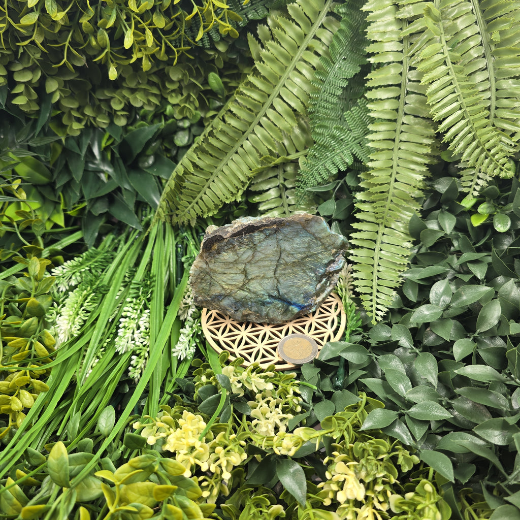 💫 Labradorite “Voile Céleste” – Éclat d’Âme