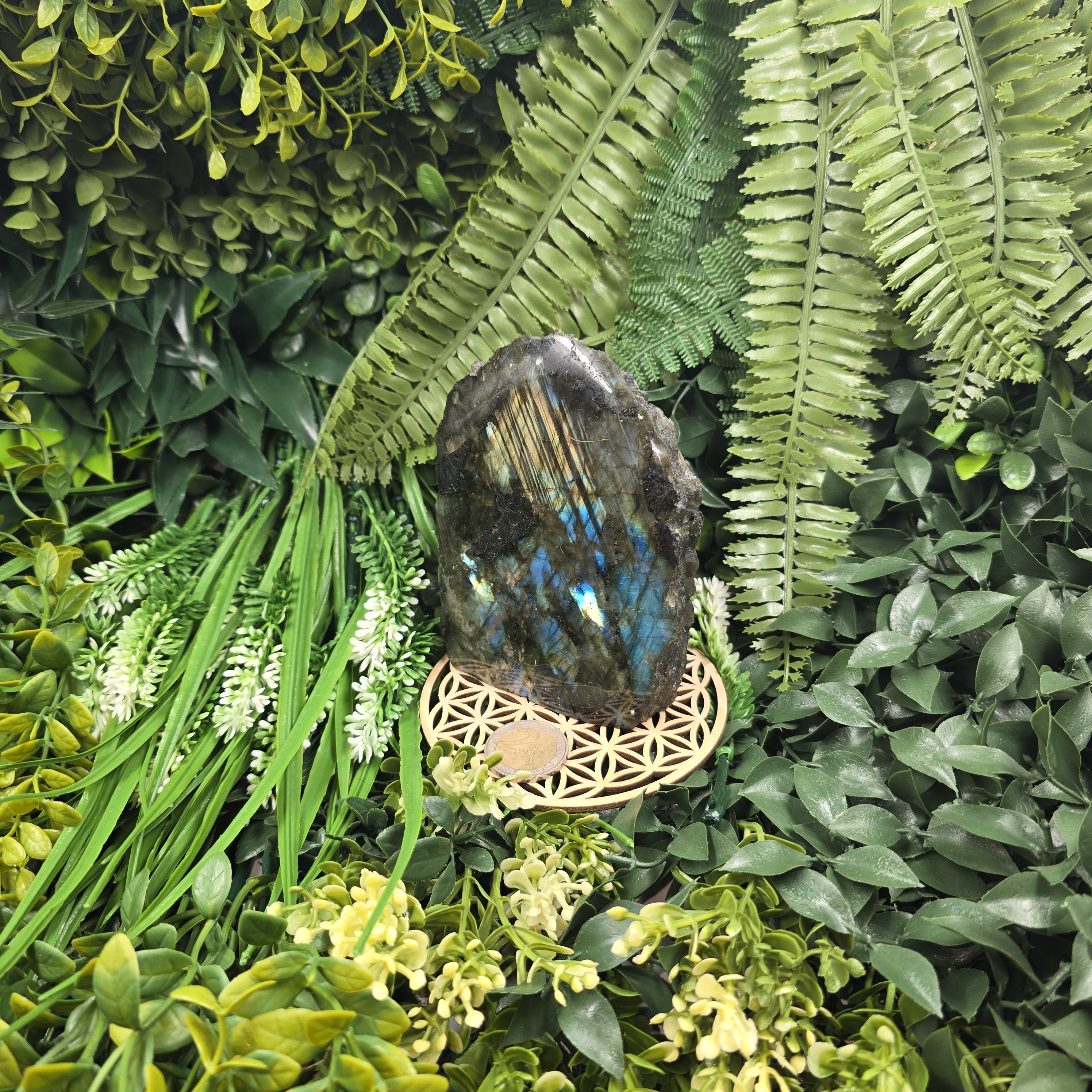 💫 Labradorite “Ailes de Gaïa” – Lumière Protectrice