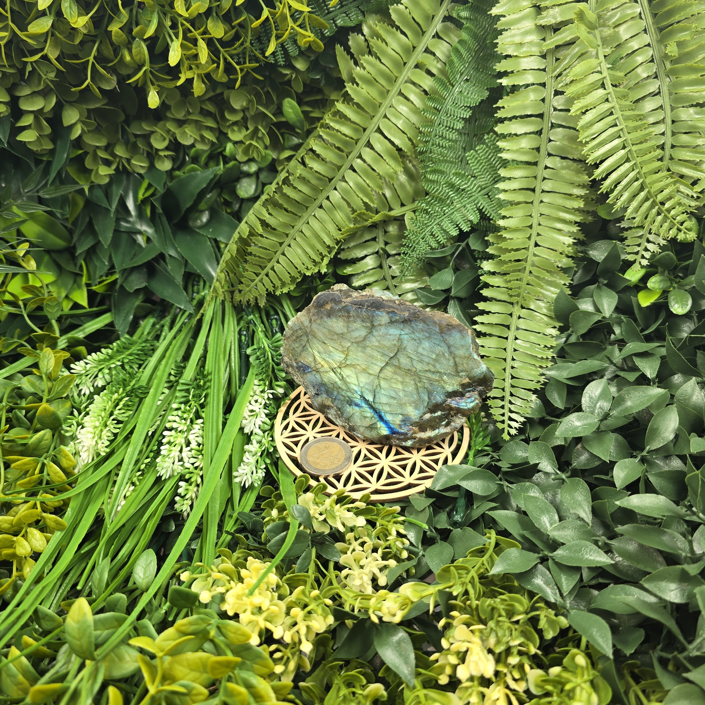 💫 Labradorite “Voile Céleste” – Éclat d’Âme