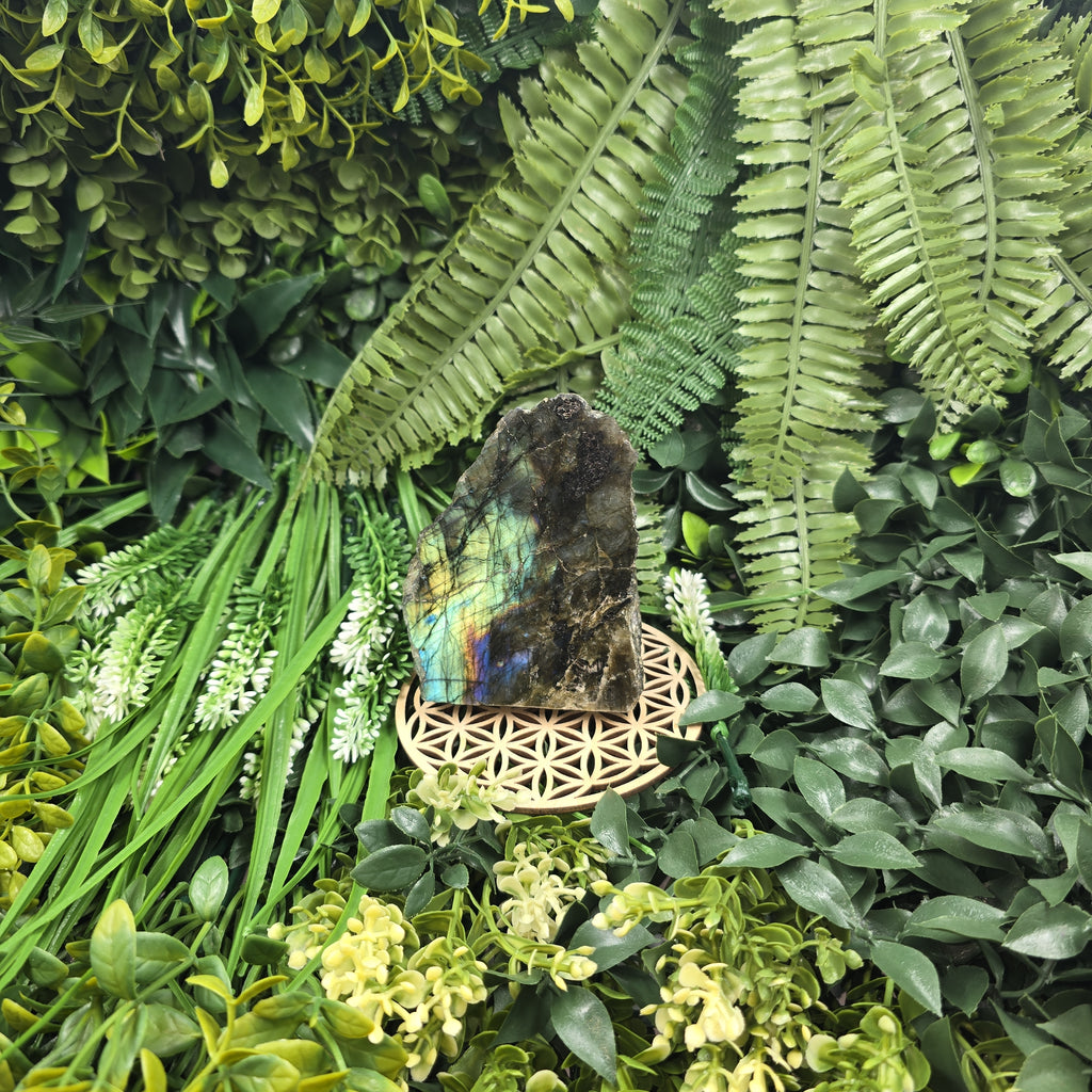 💫 Labradorite “Arcane du Ciel” – Reflets d’Aurore