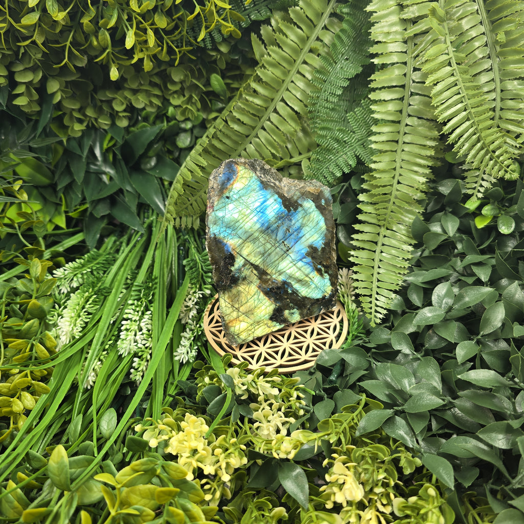 💫 Labradorite “Souffle Boréal” – Équilibre et Protection