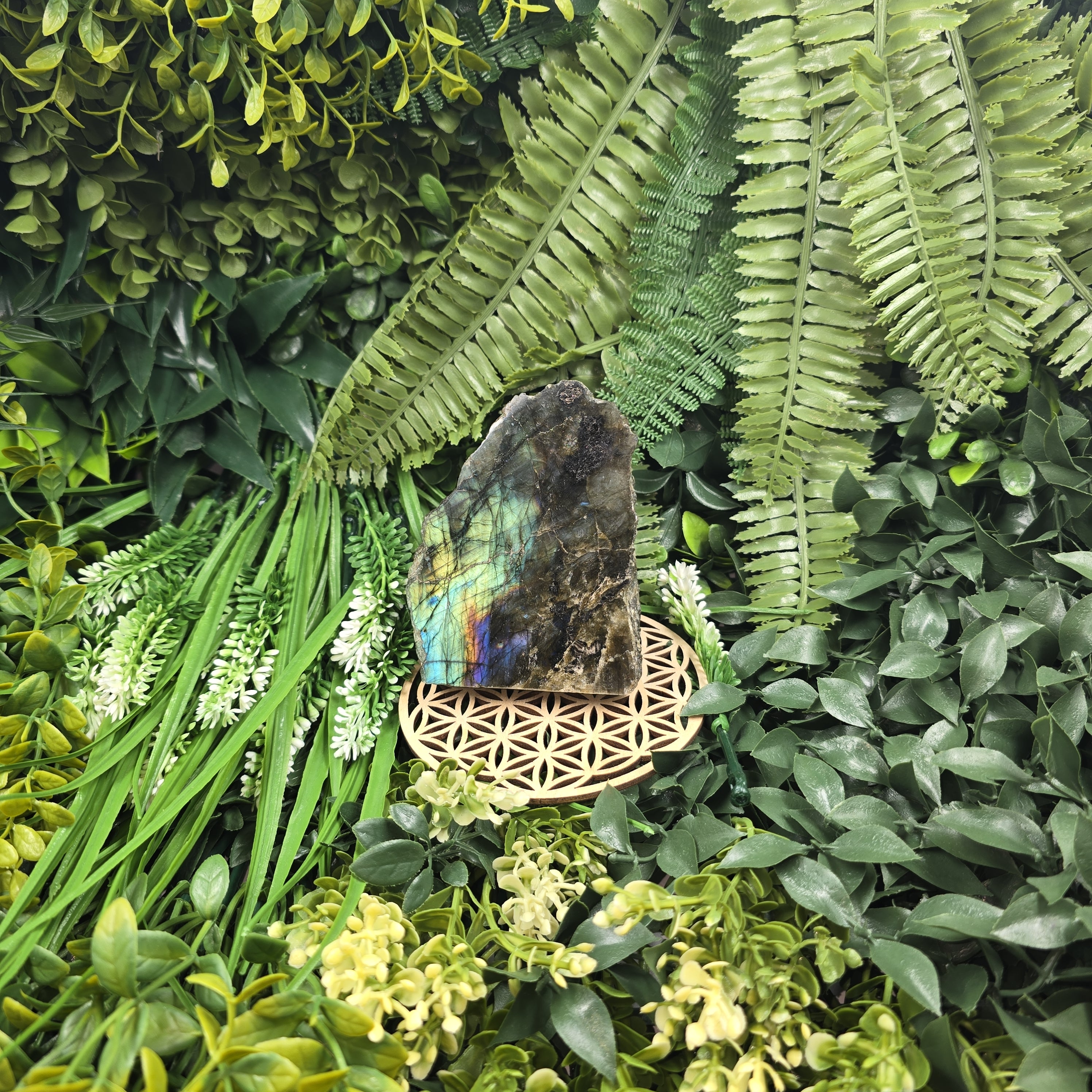 💫 Labradorite “Arcane du Ciel” – Reflets d’Aurore