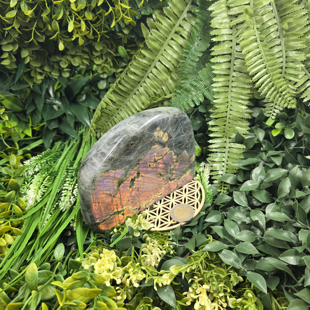 💙 Labradorite Flash violet rare ✨ : la pierre qui magnifie ta vision & éclaire tes reflets mystiques ✨🔮