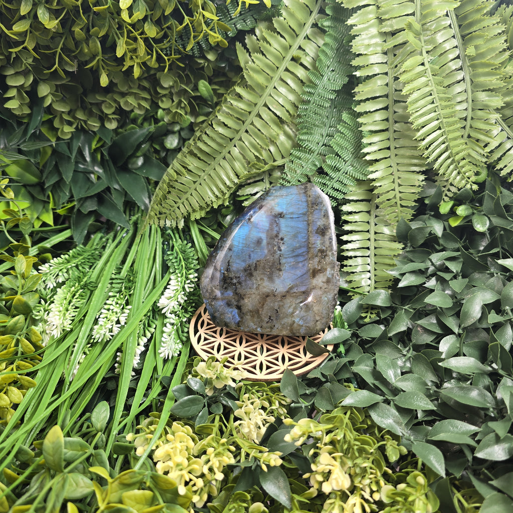 💫 Labradorite “Voile des Profondeurs” – Sérénité & Protection