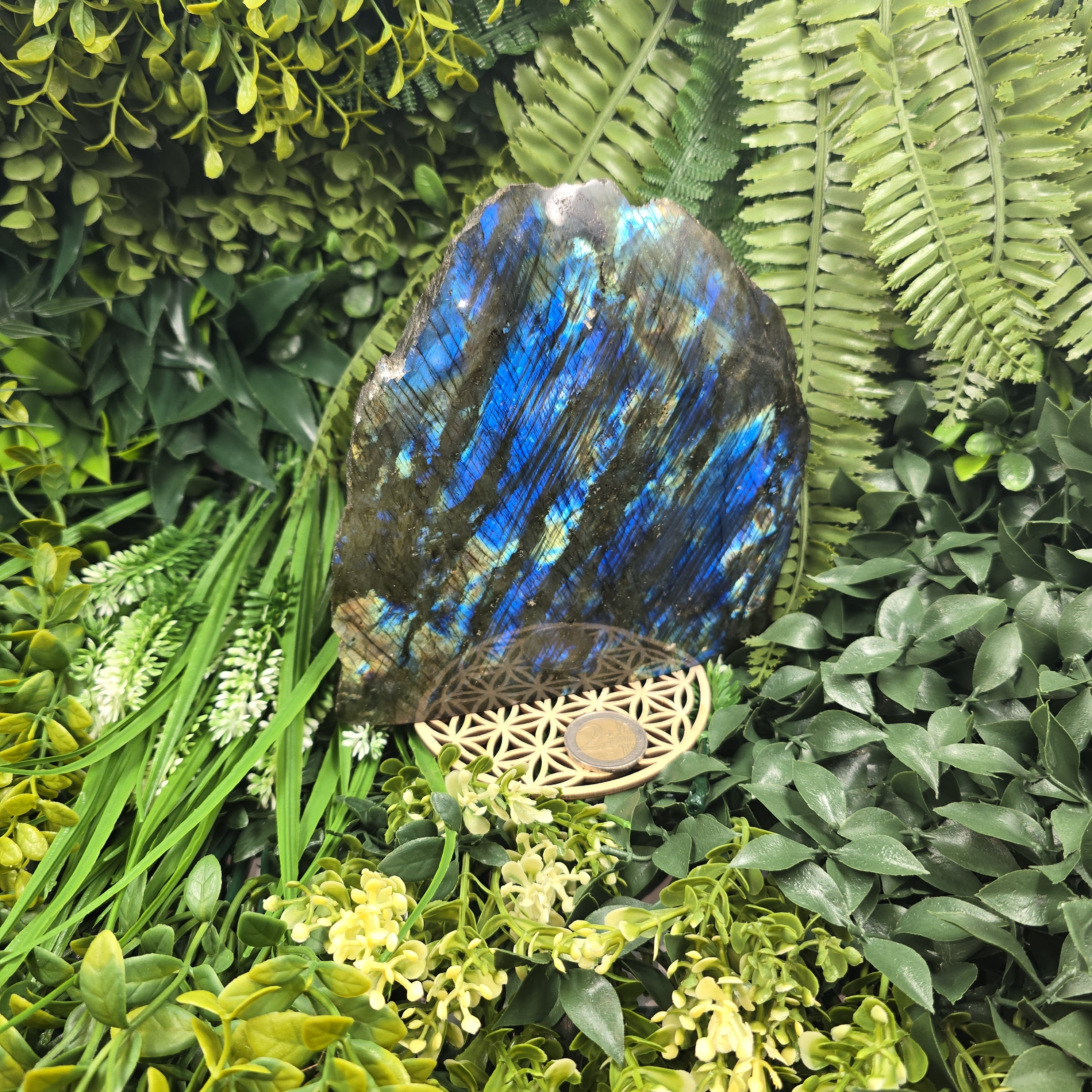 🌌💫 Labradorite “Ailes du Cosmos” – Gardienne de Lumière