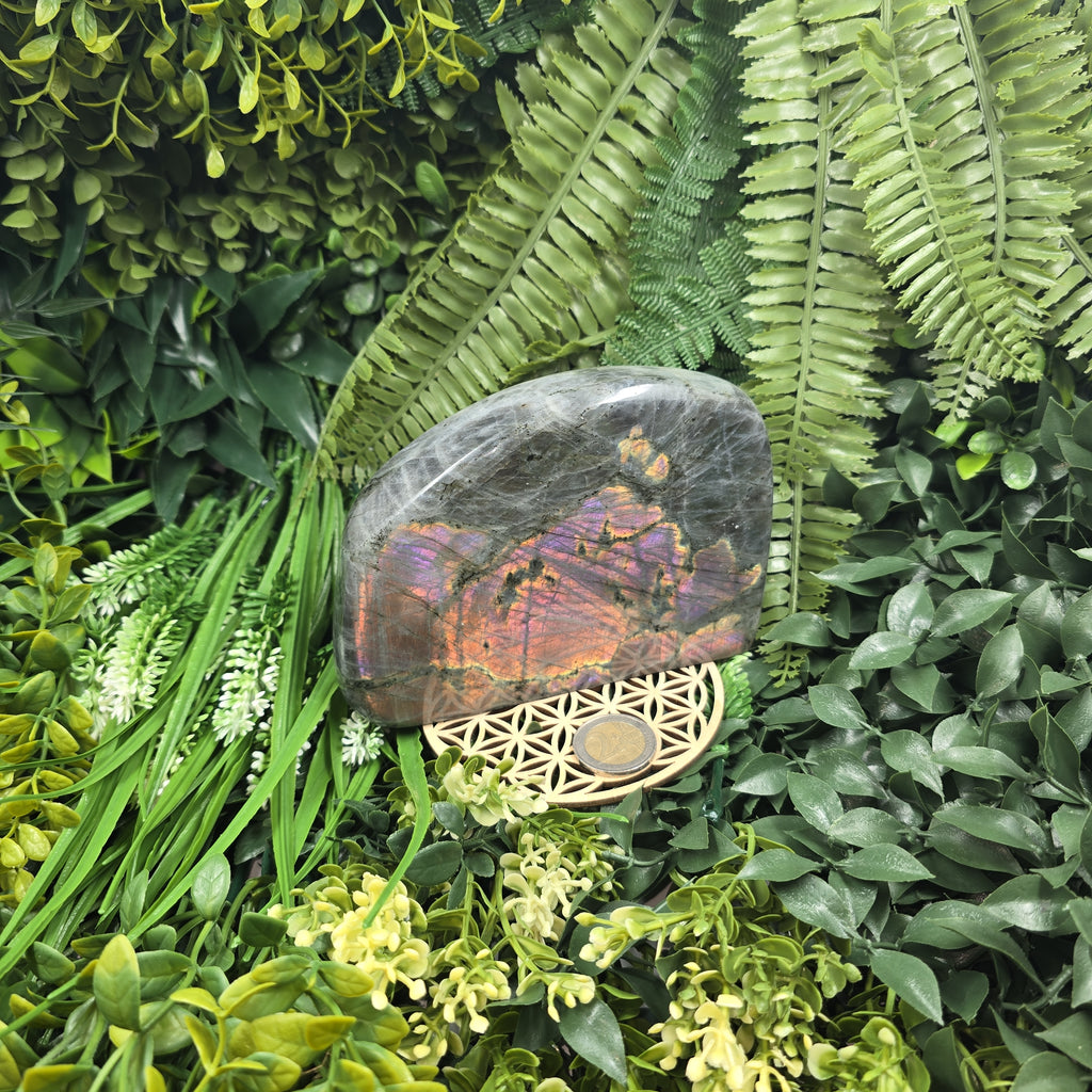 💙 Labradorite Flash violet rare ✨ : la pierre qui magnifie ta vision & éclaire tes reflets mystiques ✨🔮