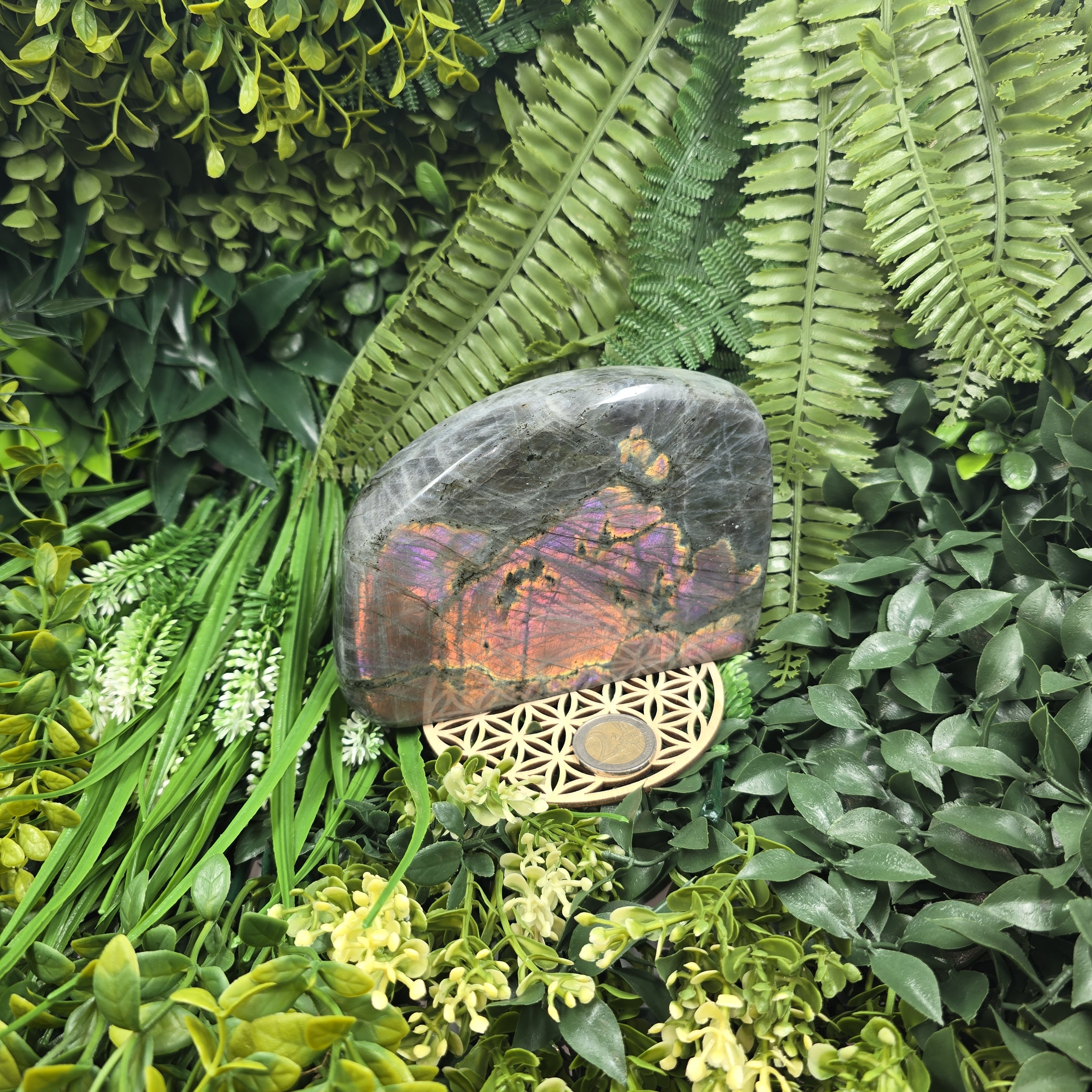 💙 Labradorite Flash violet rare ✨ : la pierre qui magnifie ta vision & éclaire tes reflets mystiques ✨🔮