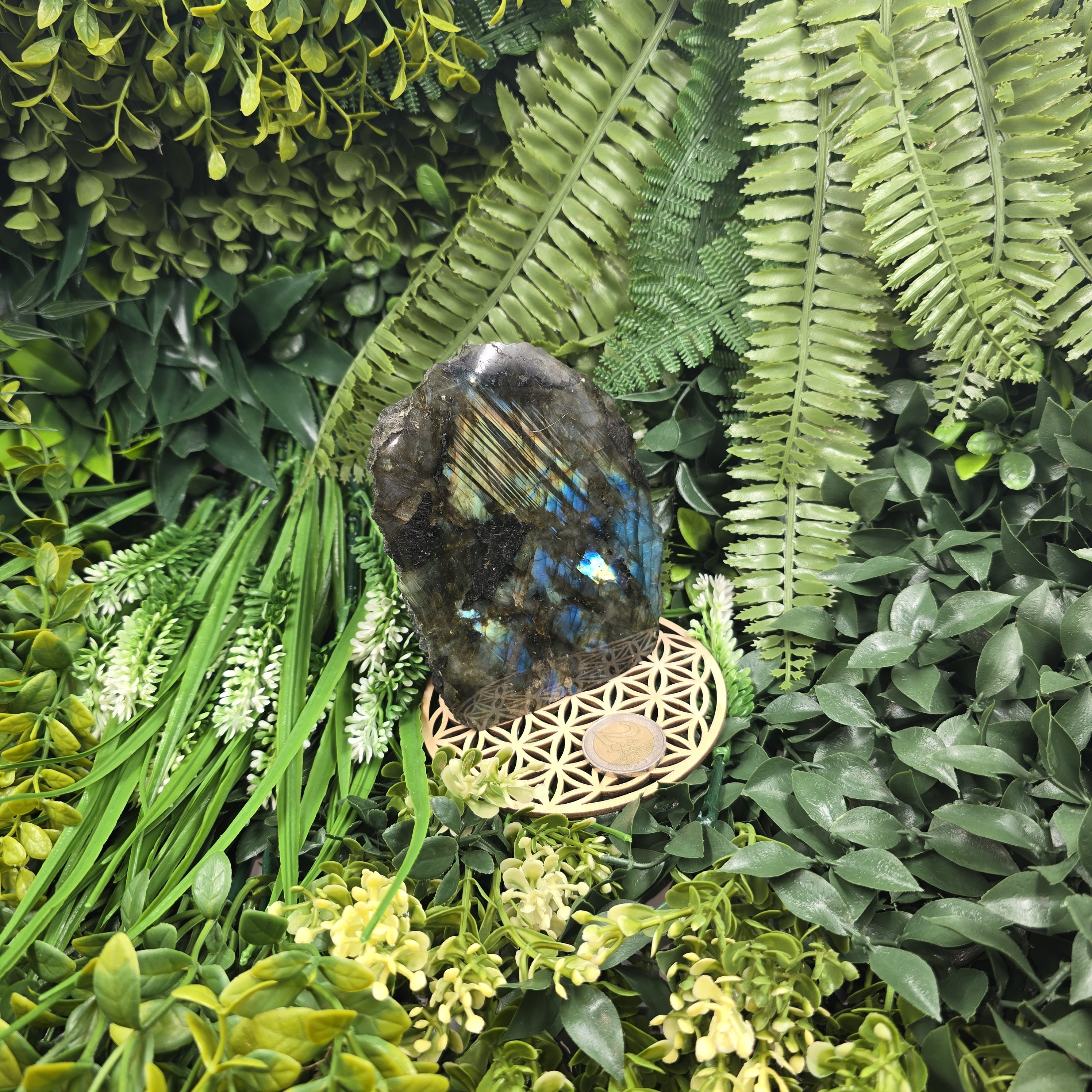 💫 Labradorite “Ailes de Gaïa” – Lumière Protectrice