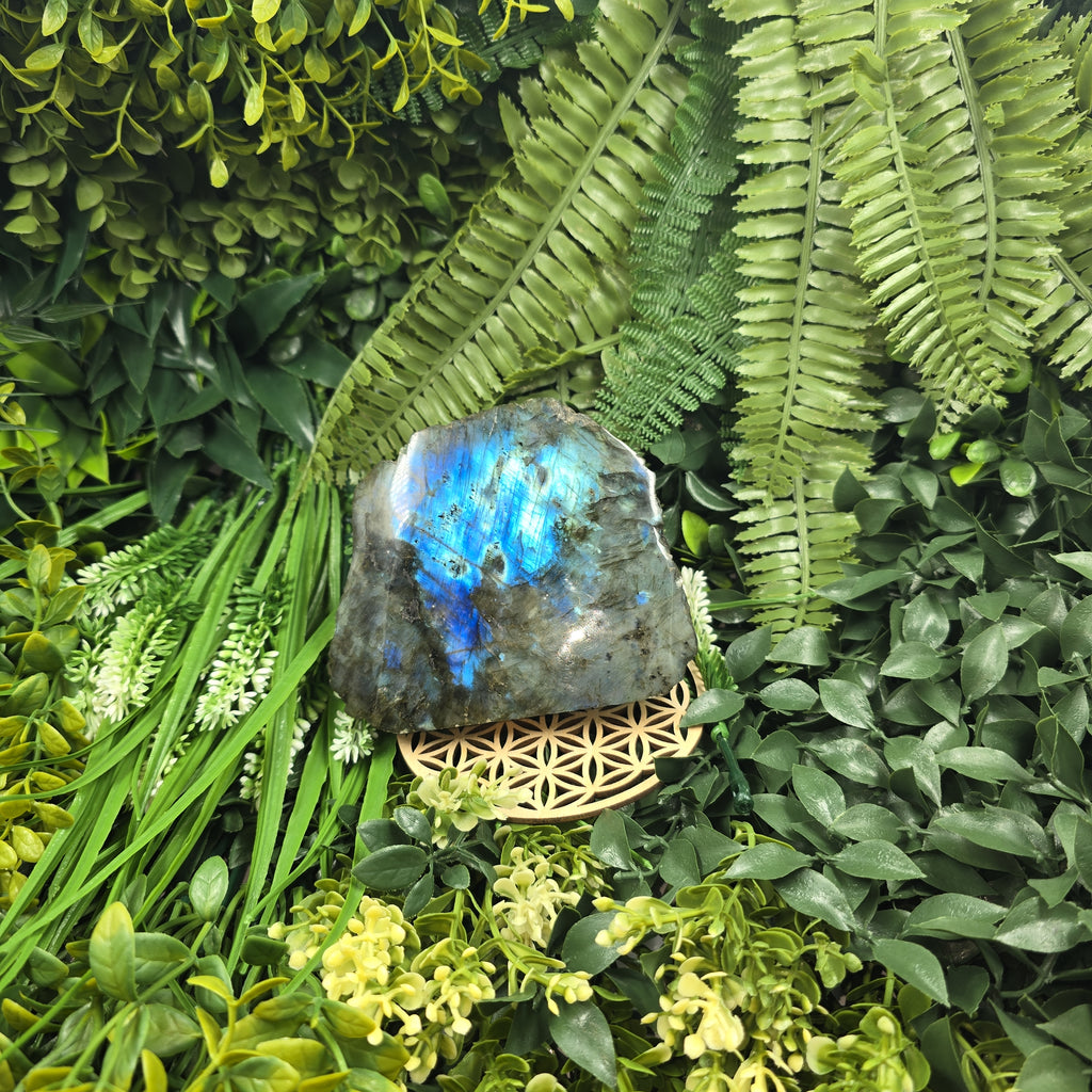 💫 Labradorite “Souffle Océanique” – Calme et Clarté