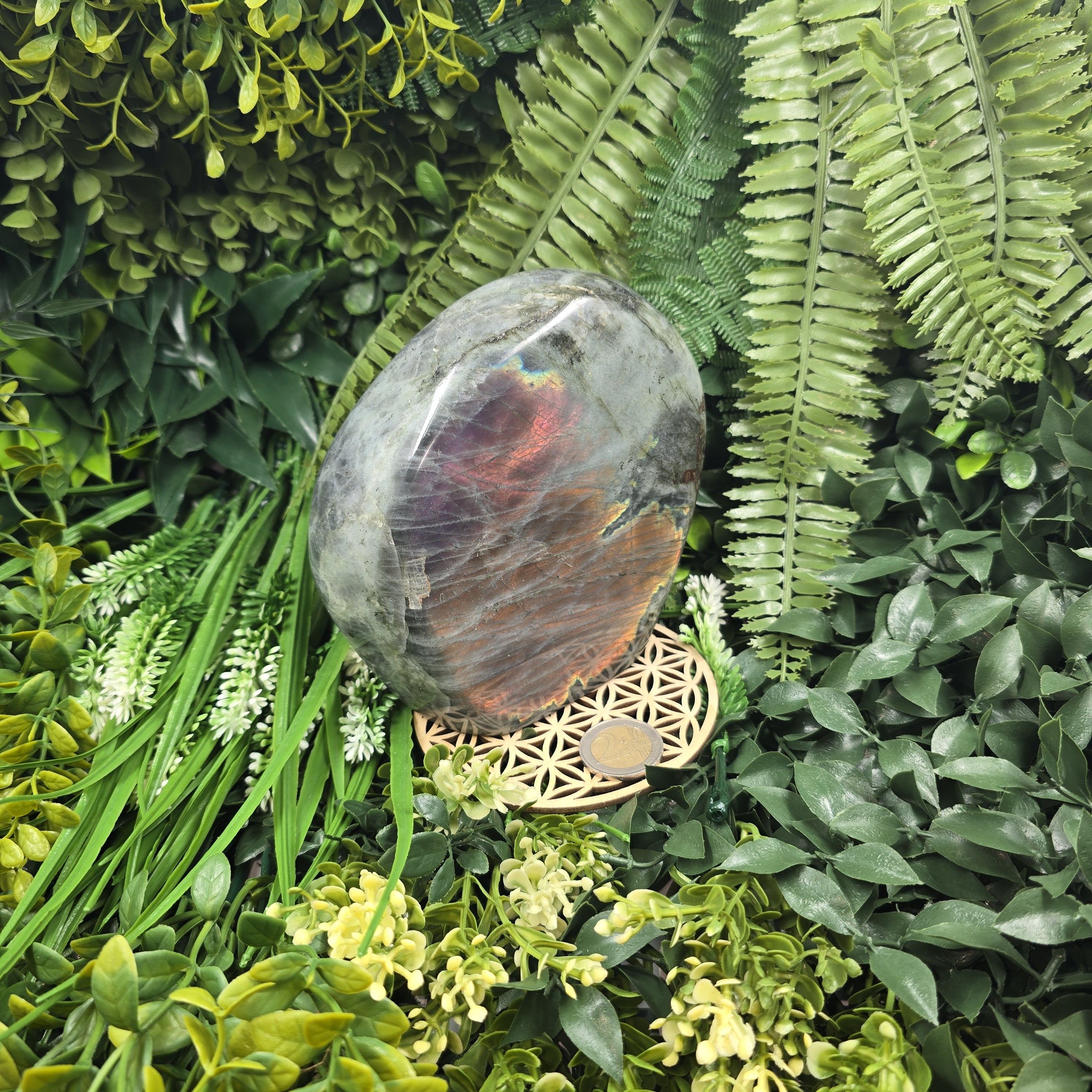 💫 Labradorite “Flamme Astrale” – Reflet du Mystère